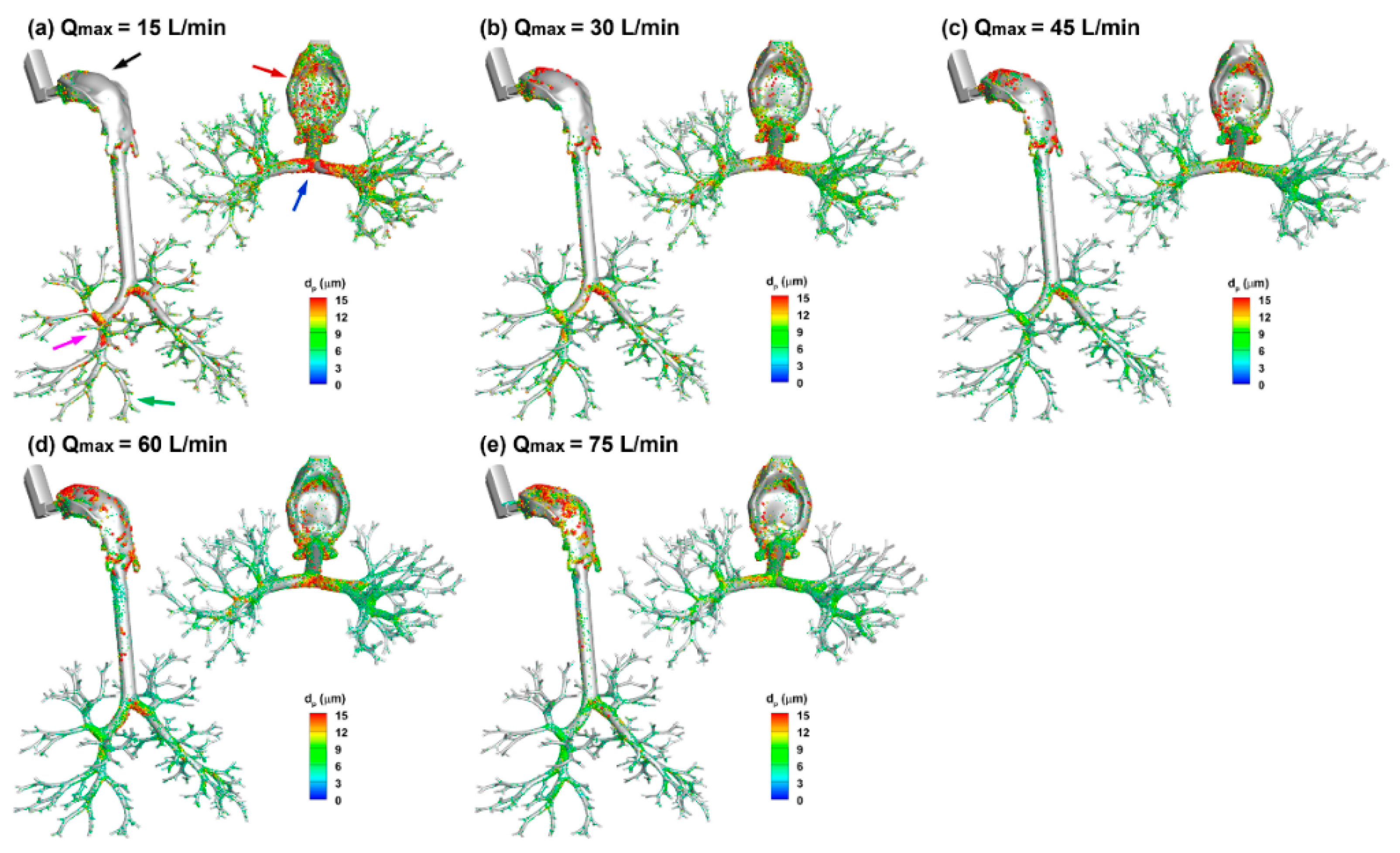 Pharmaceuticals 15 00706 g010