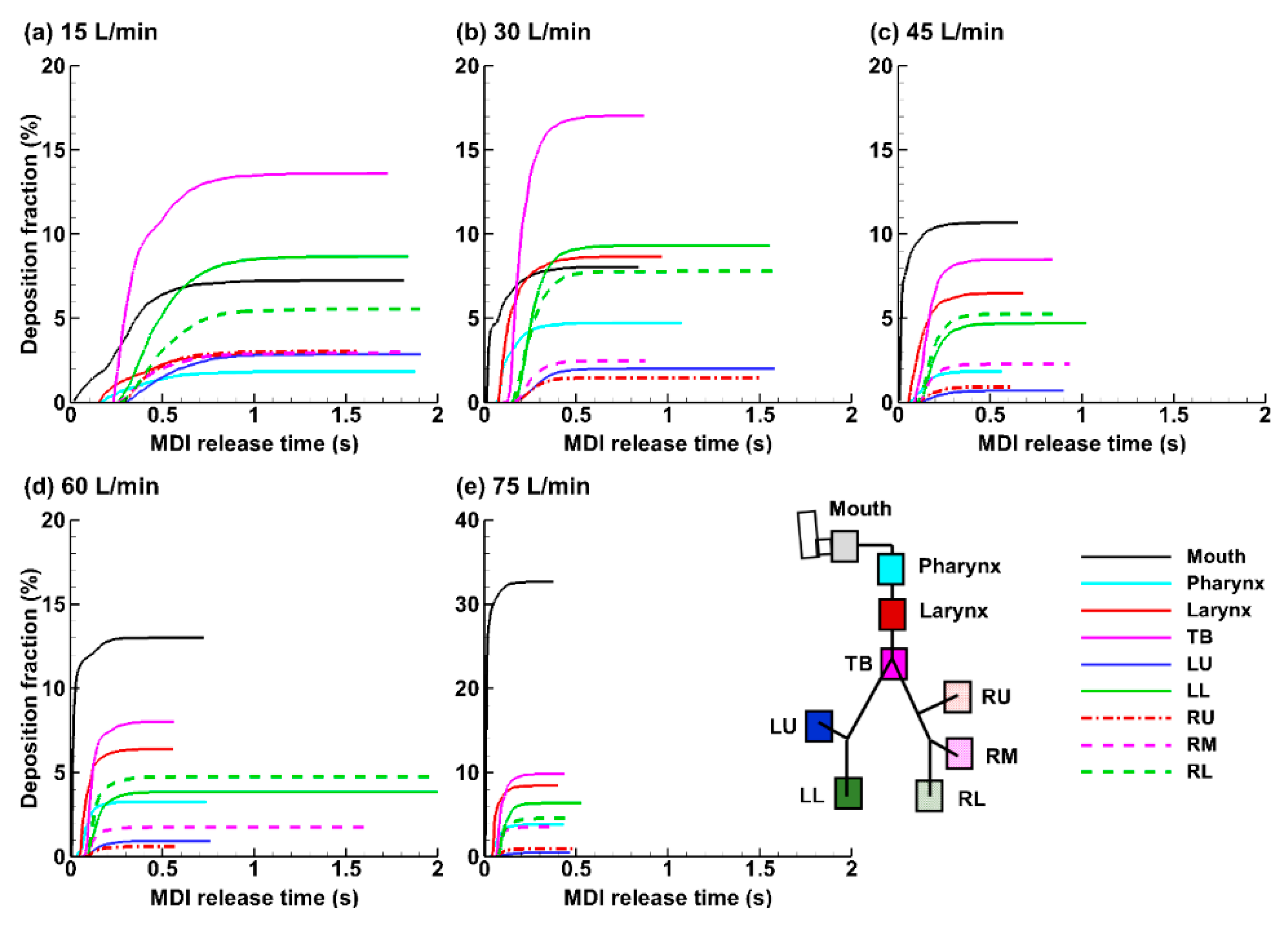 Pharmaceuticals 15 00706 g011
