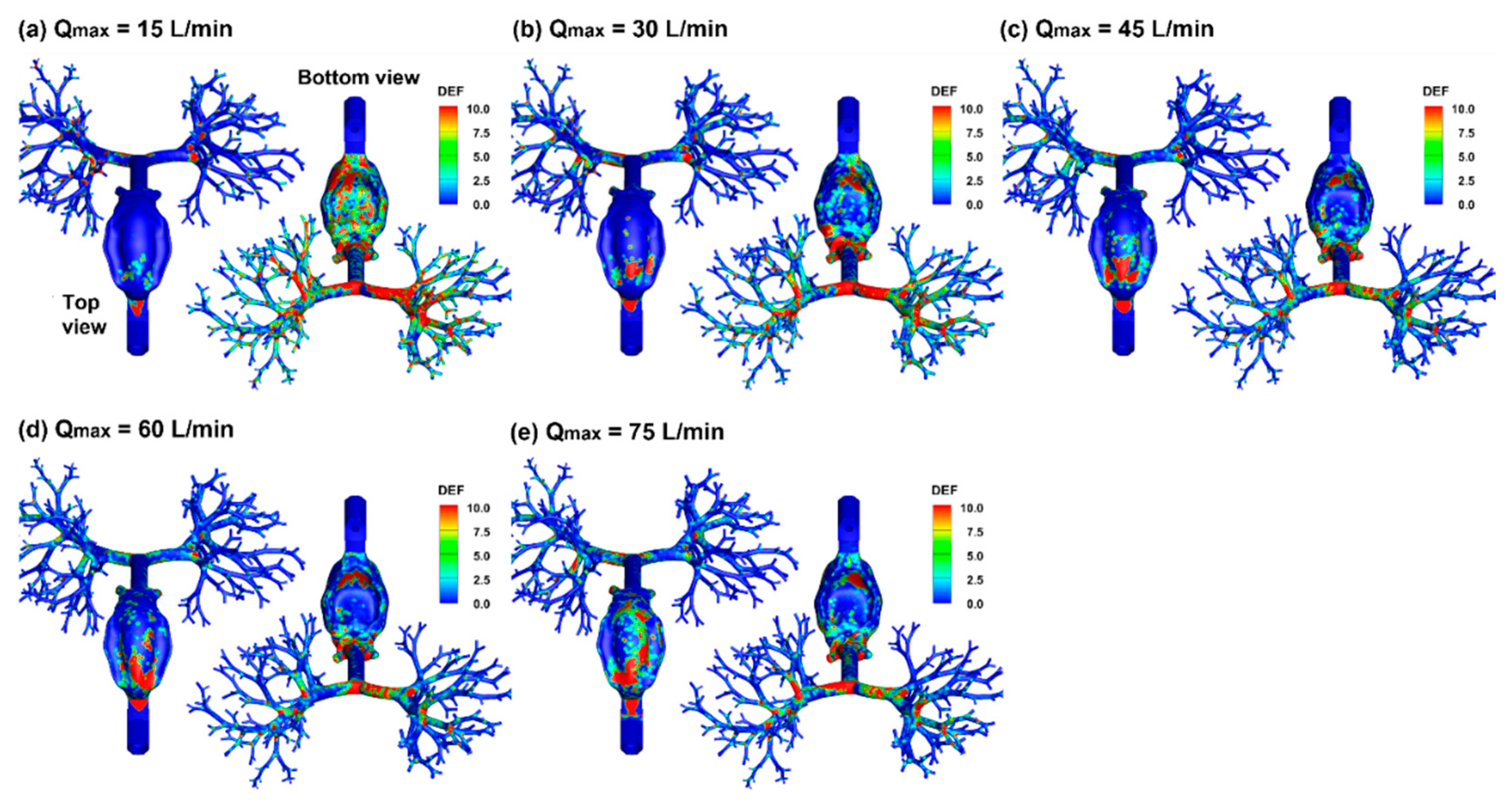 Pharmaceuticals 15 00706 g014