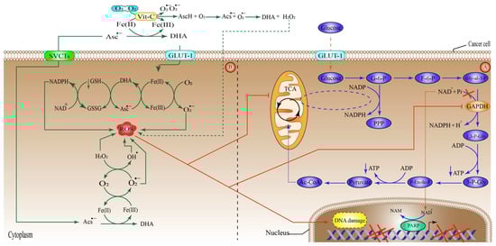 Pharmaceuticals 15 00711 g002