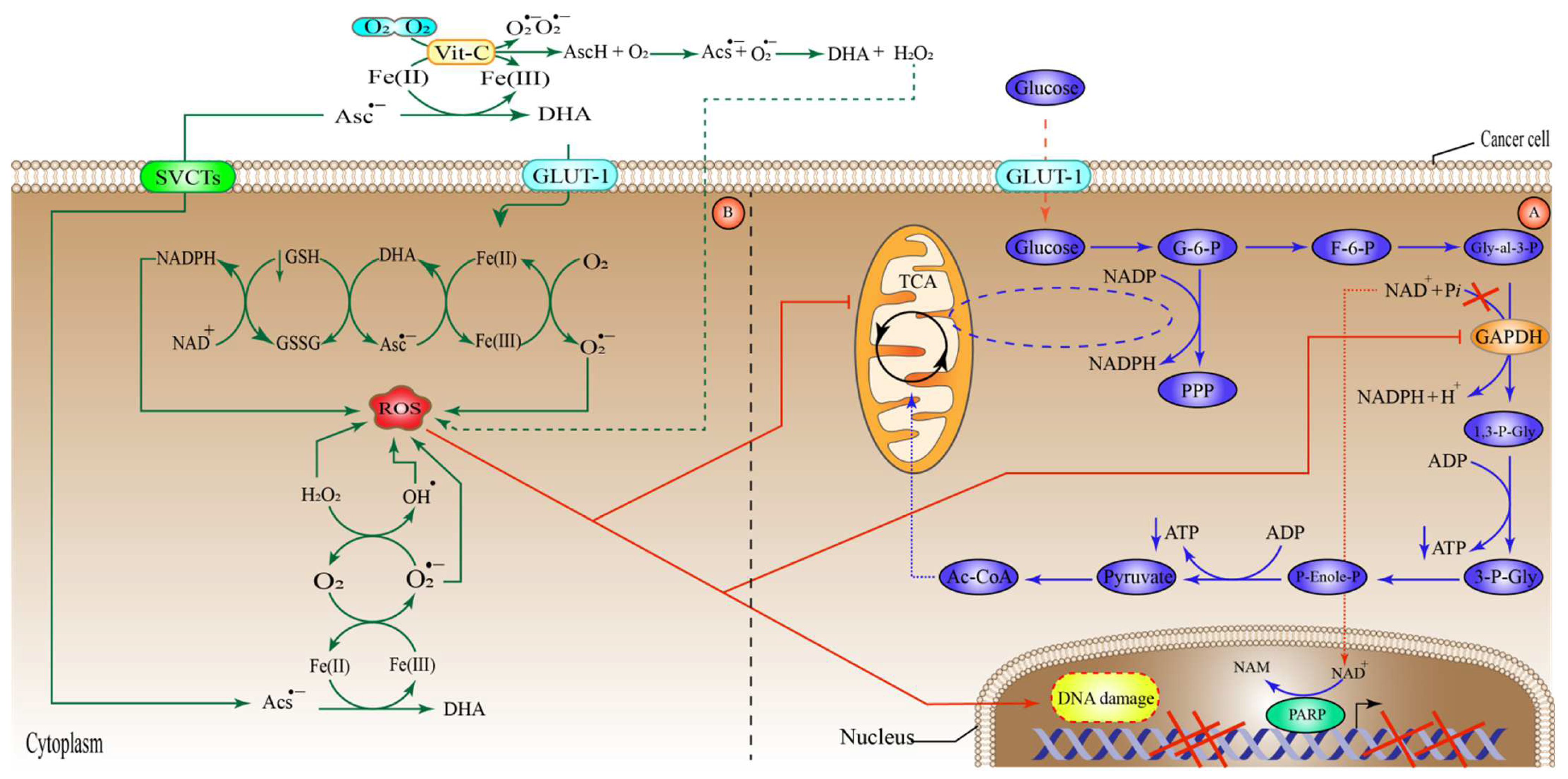Pharmaceuticals 15 00711 g002
