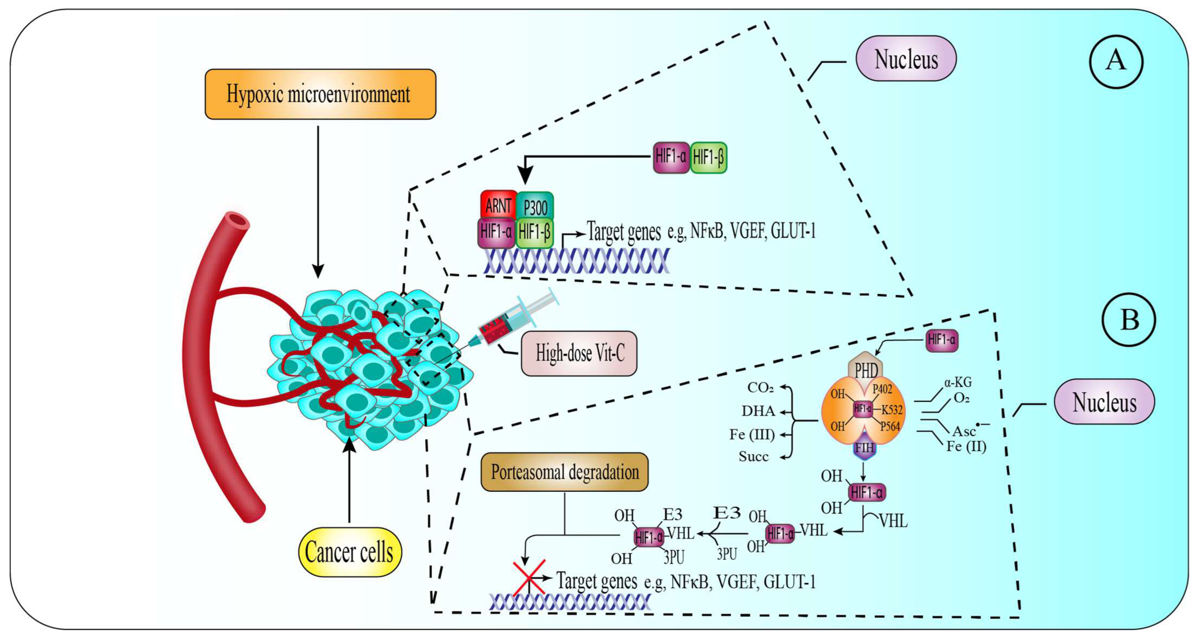 Pharmaceuticals 15 00711 g003