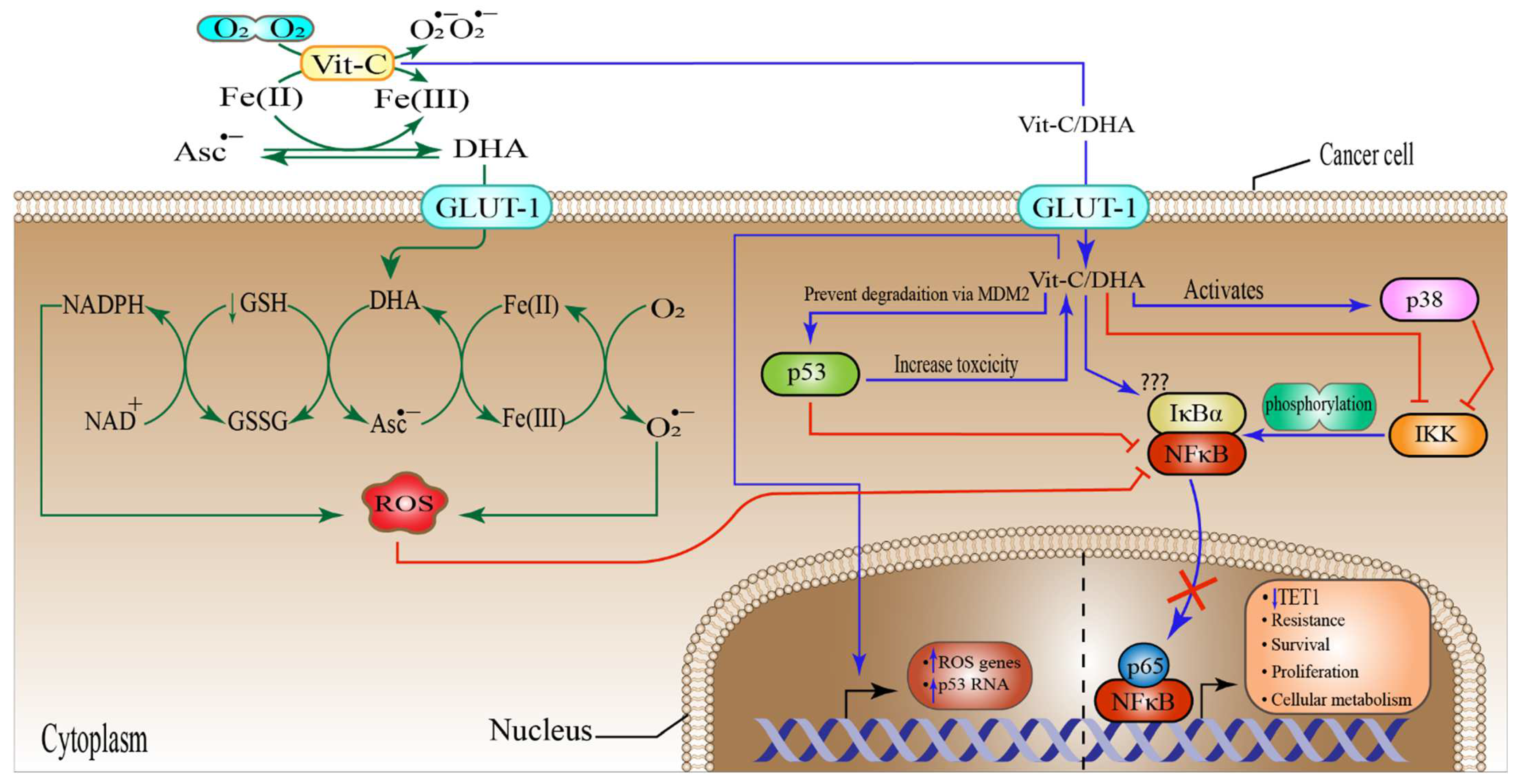 Pharmaceuticals 15 00711 g004