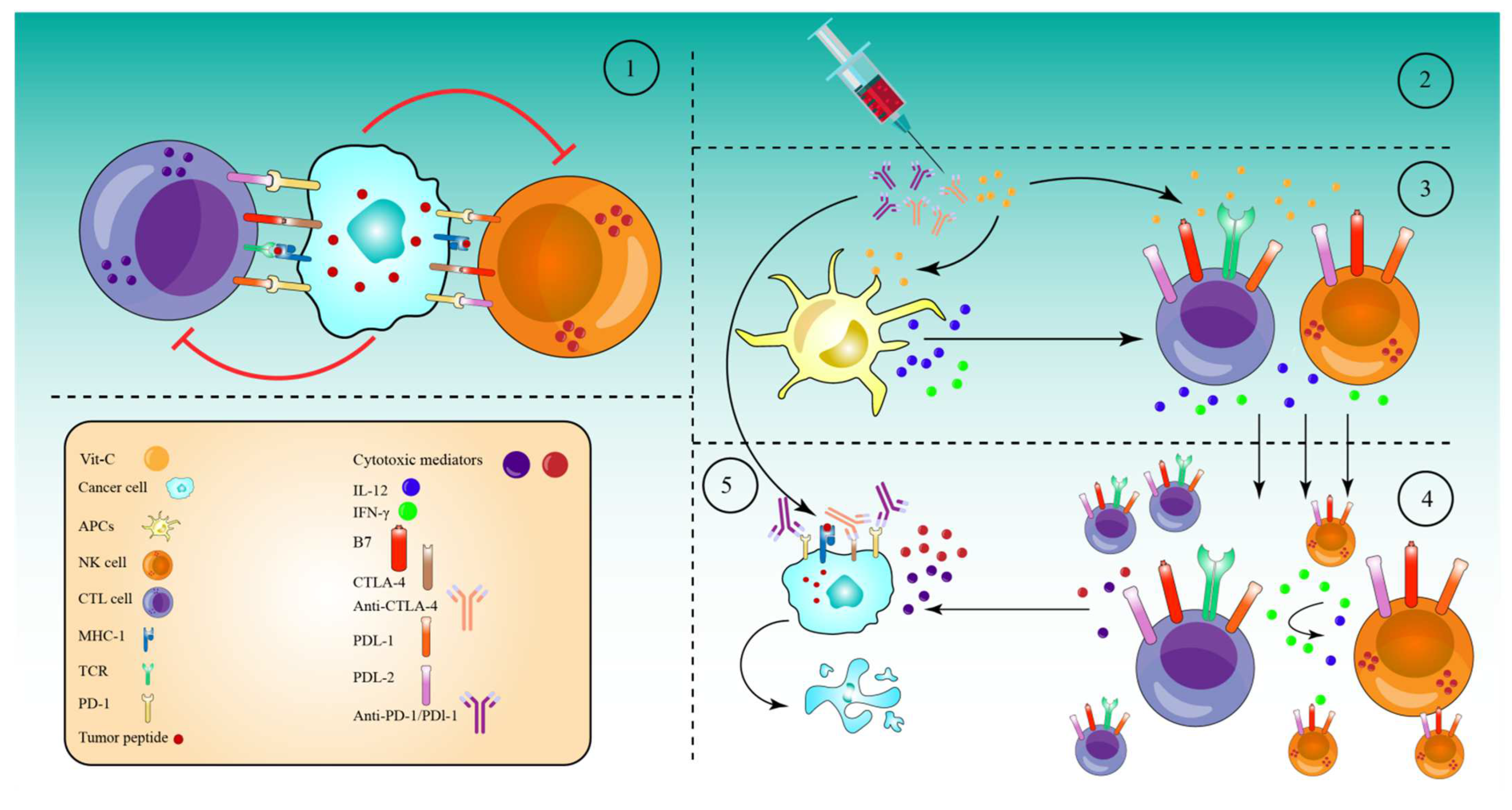 Pharmaceuticals 15 00711 g005