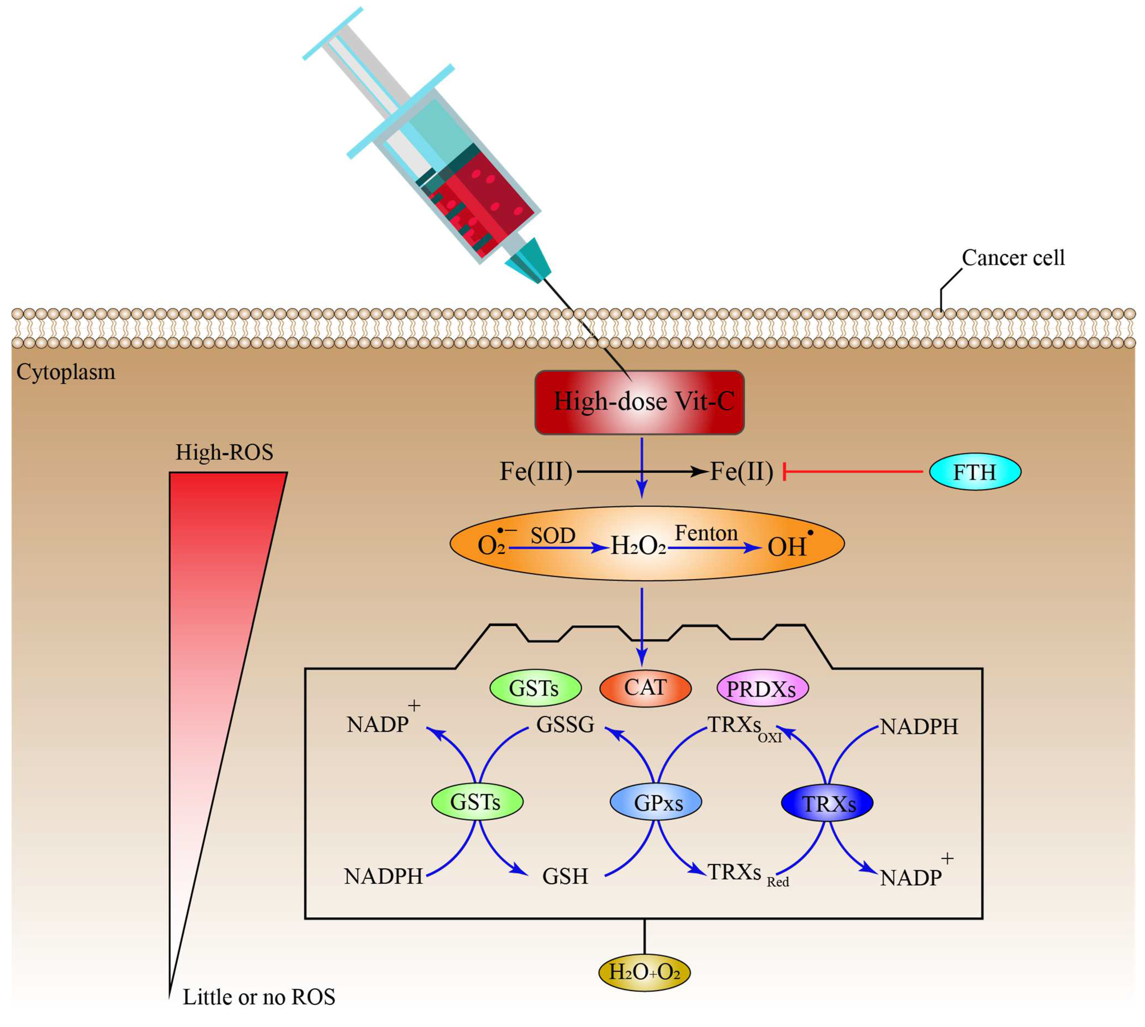 Pharmaceuticals 15 00711 g006