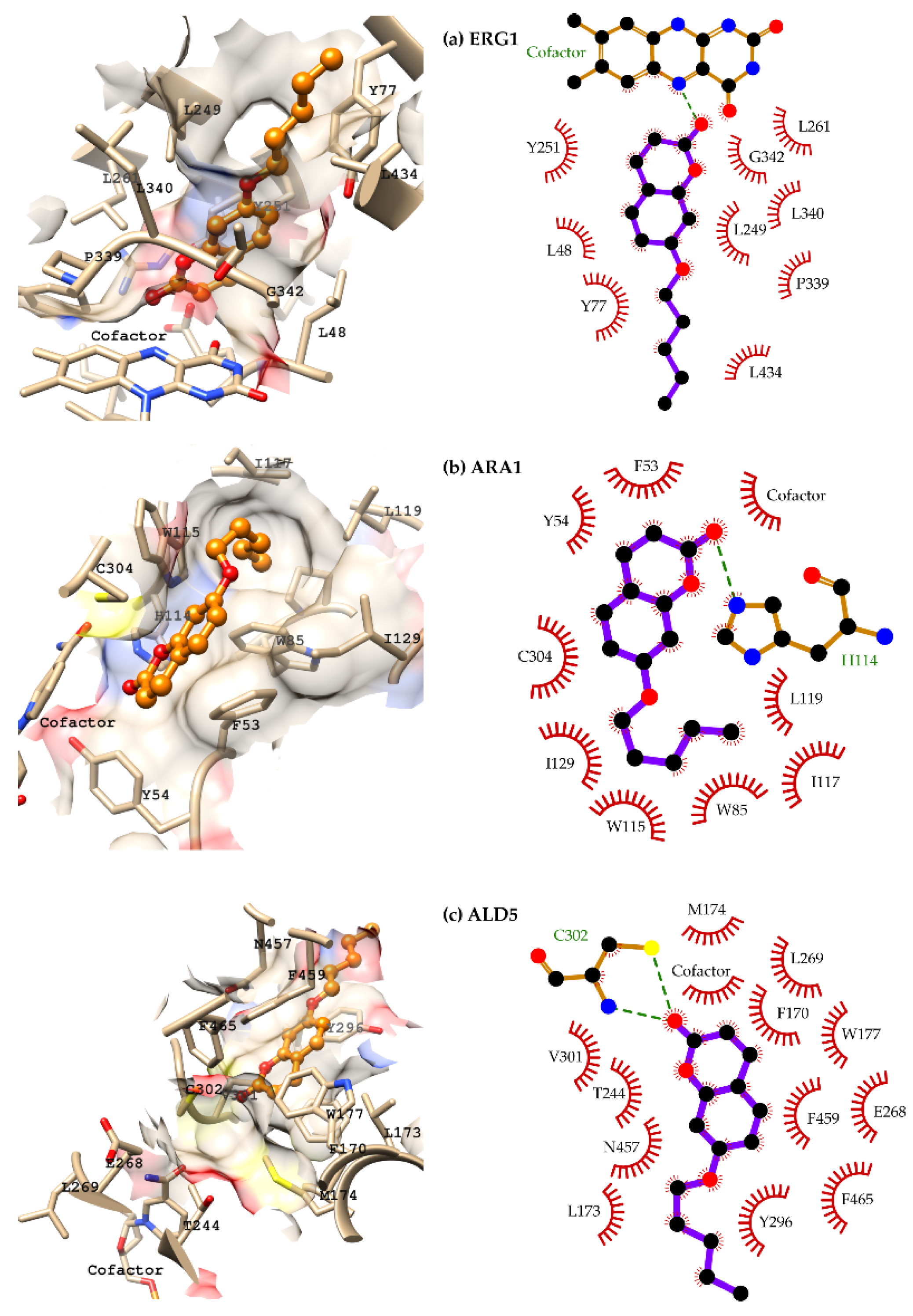 Pharmaceuticals 15 00712 g004