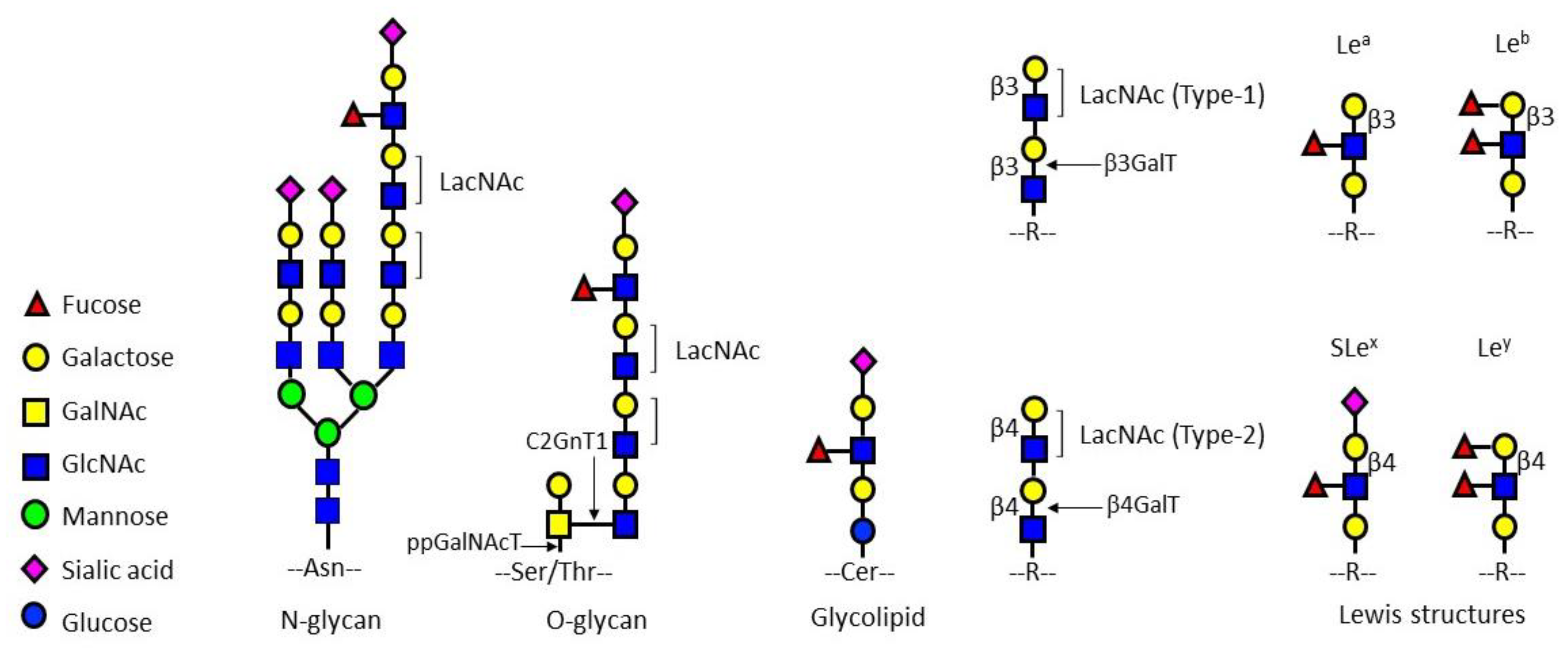 Pharmaceuticals 15 00716 g001