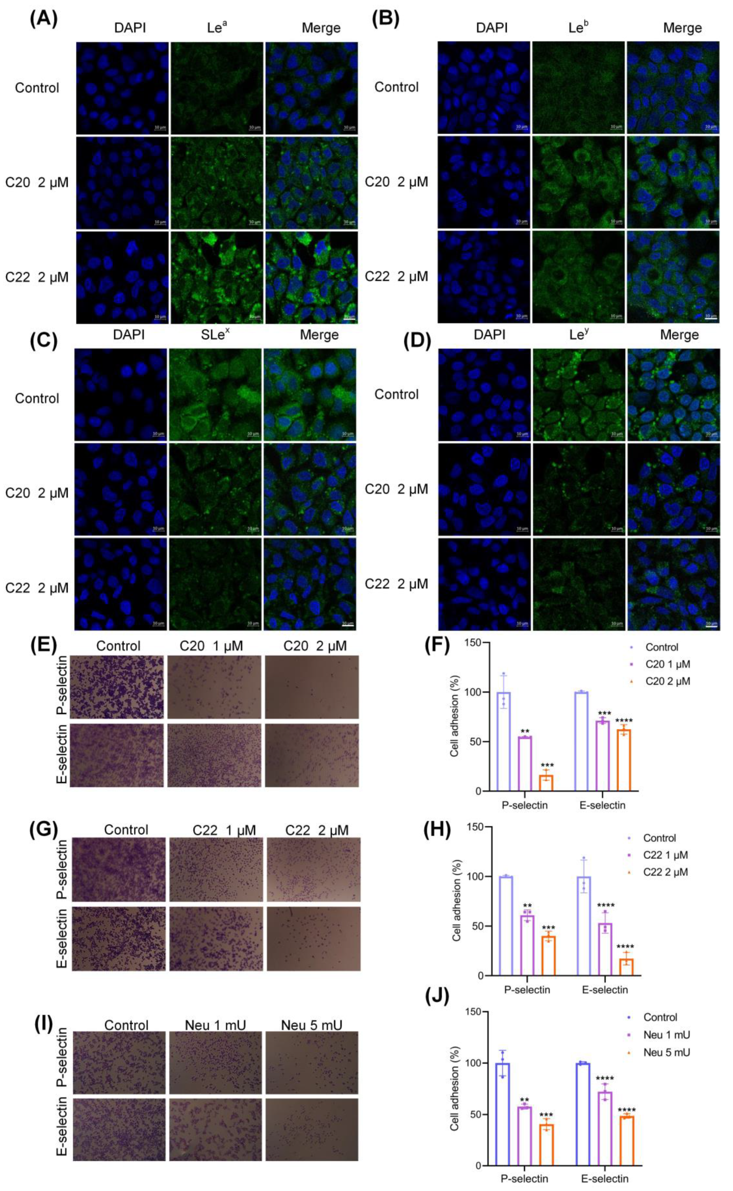 Pharmaceuticals 15 00716 g004