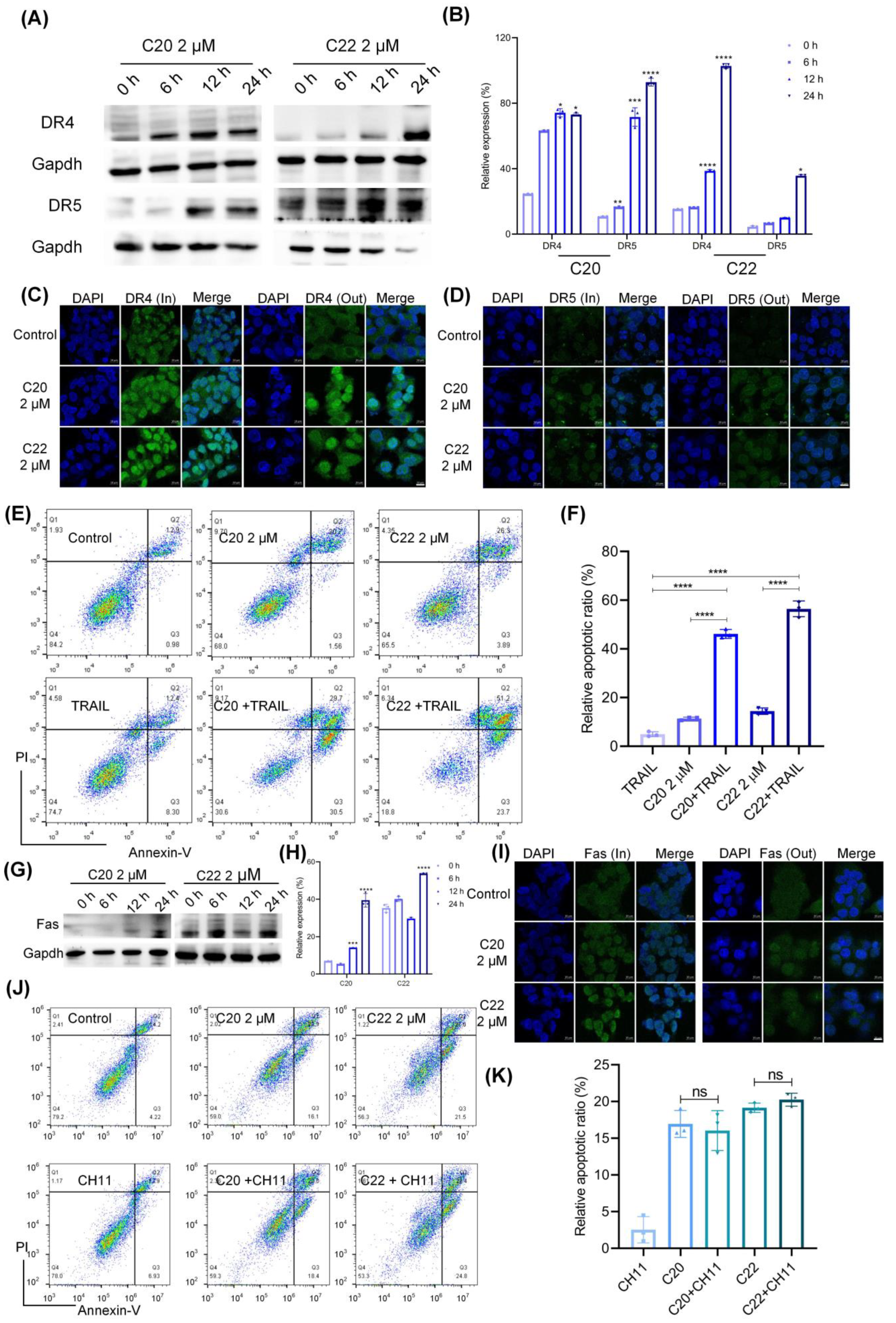 Pharmaceuticals 15 00716 g005