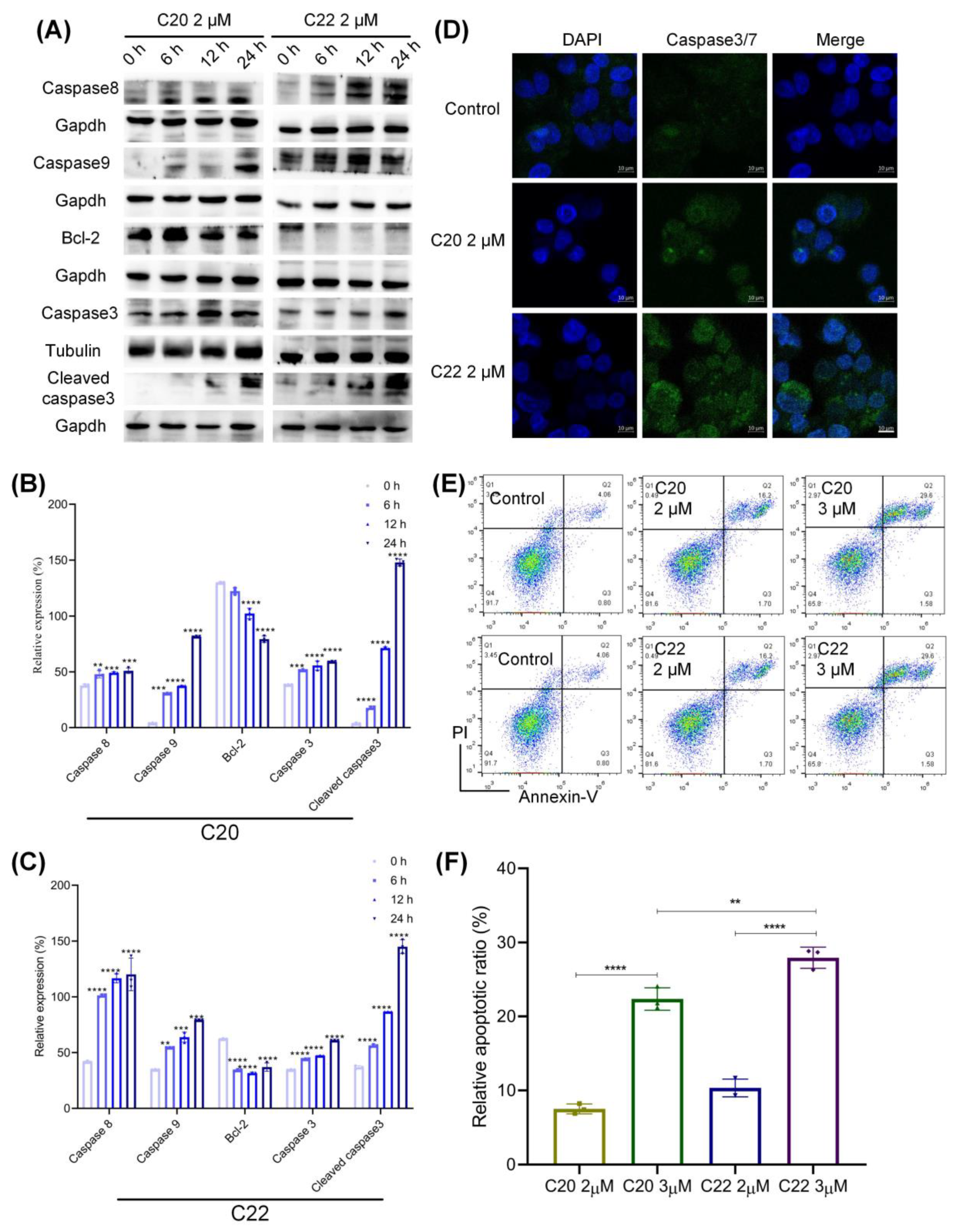 Pharmaceuticals 15 00716 g008