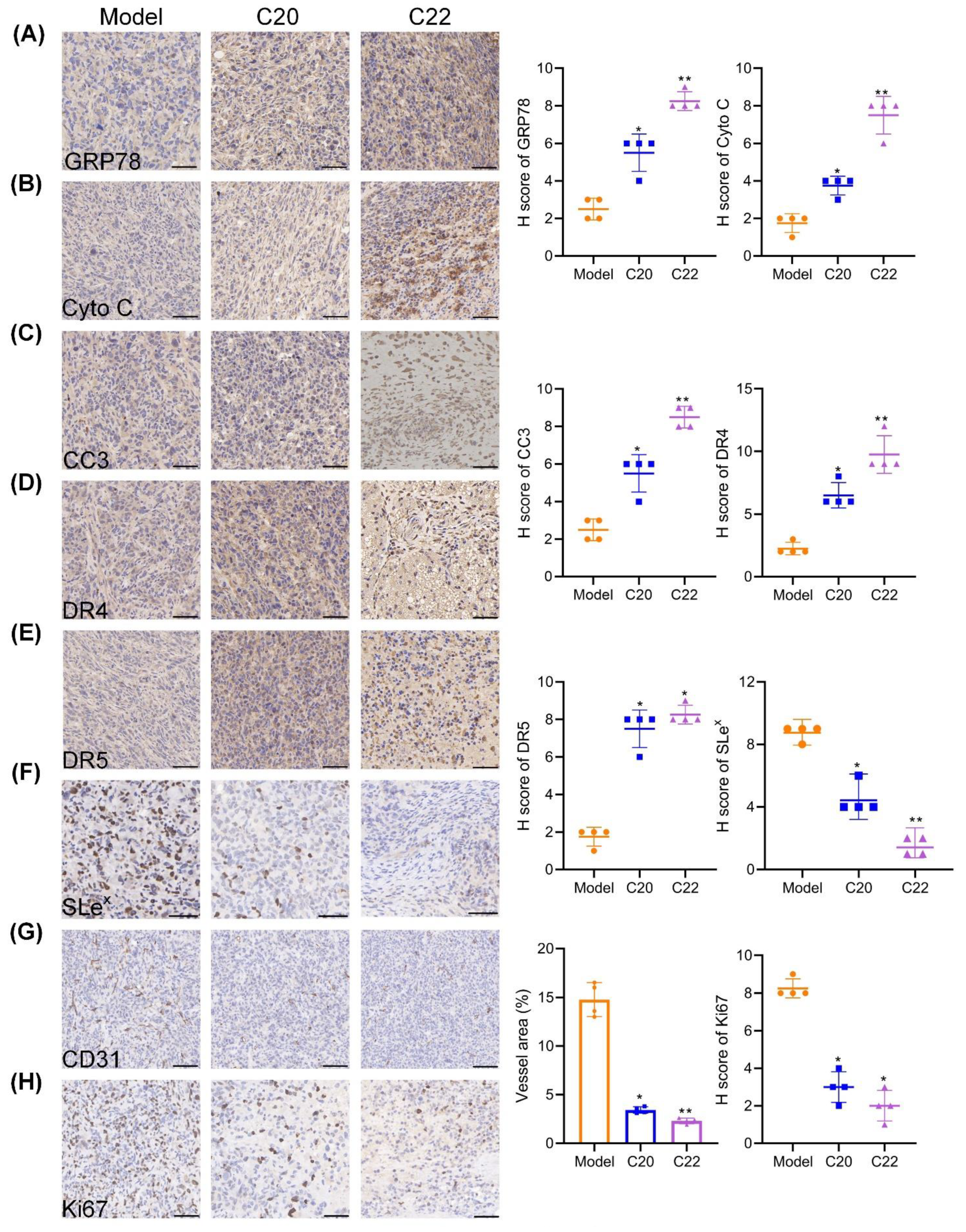 Pharmaceuticals 15 00716 g010