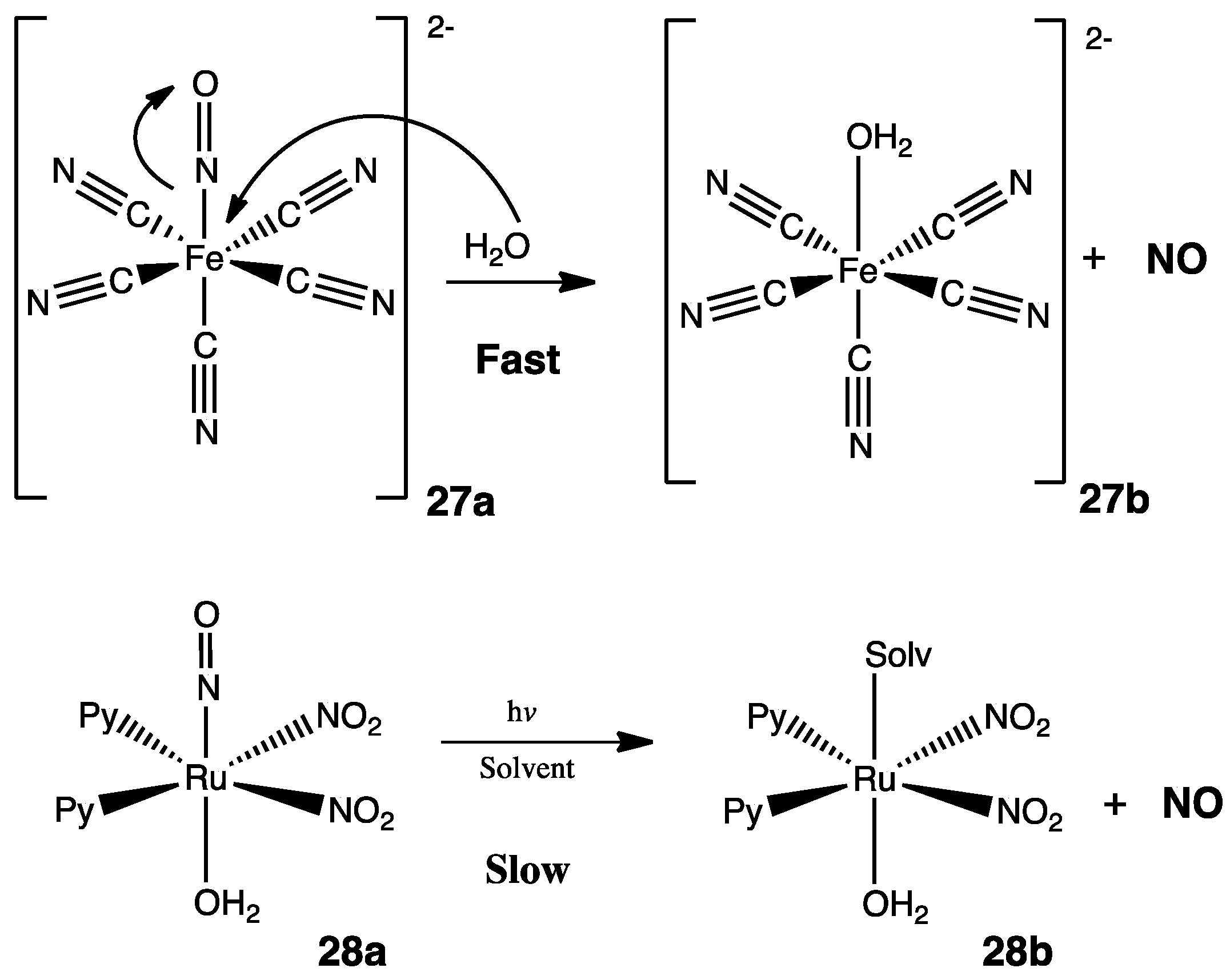Pharmaceuticals 15 00717 g013