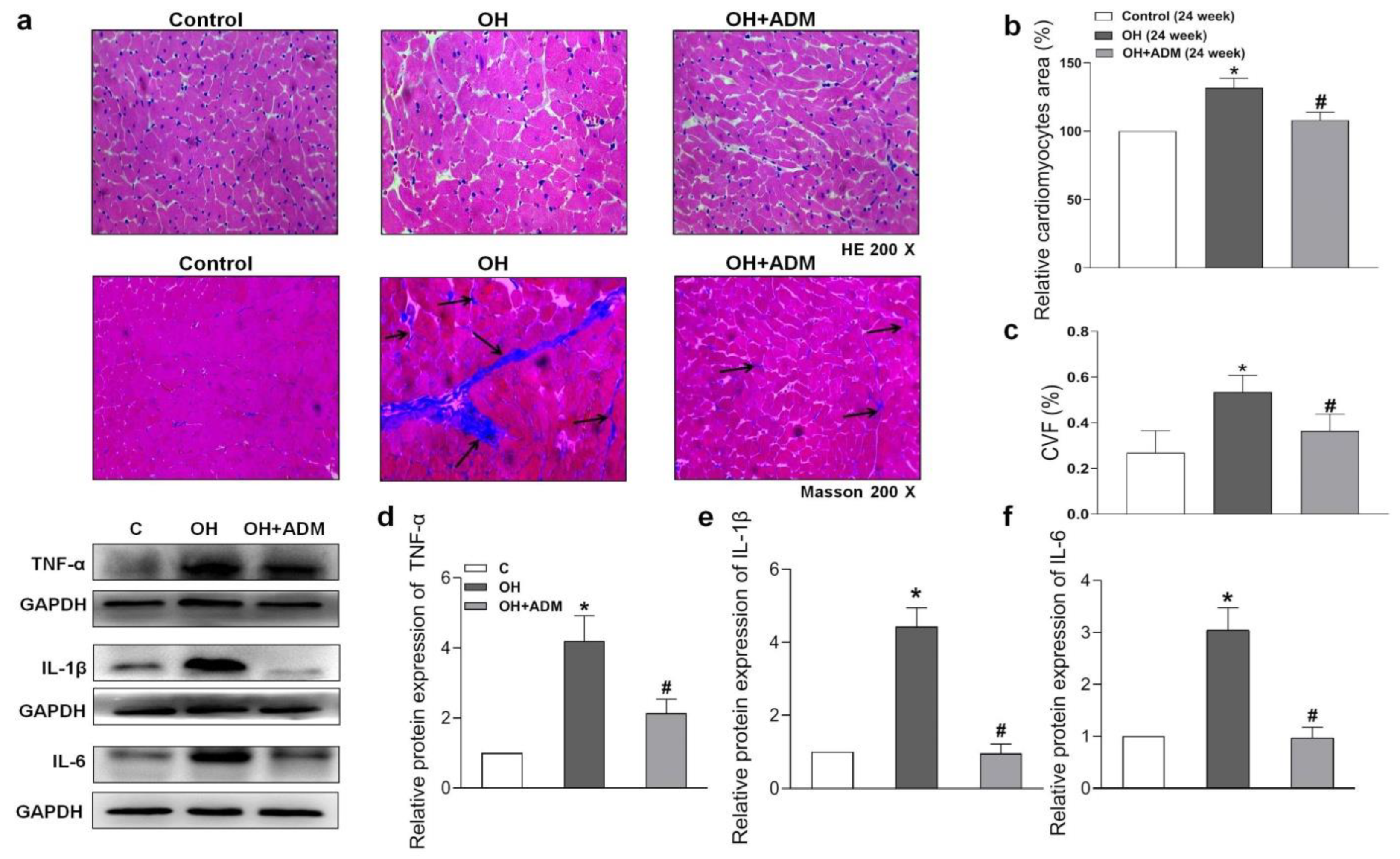 Pharmaceuticals 15 00719 g004