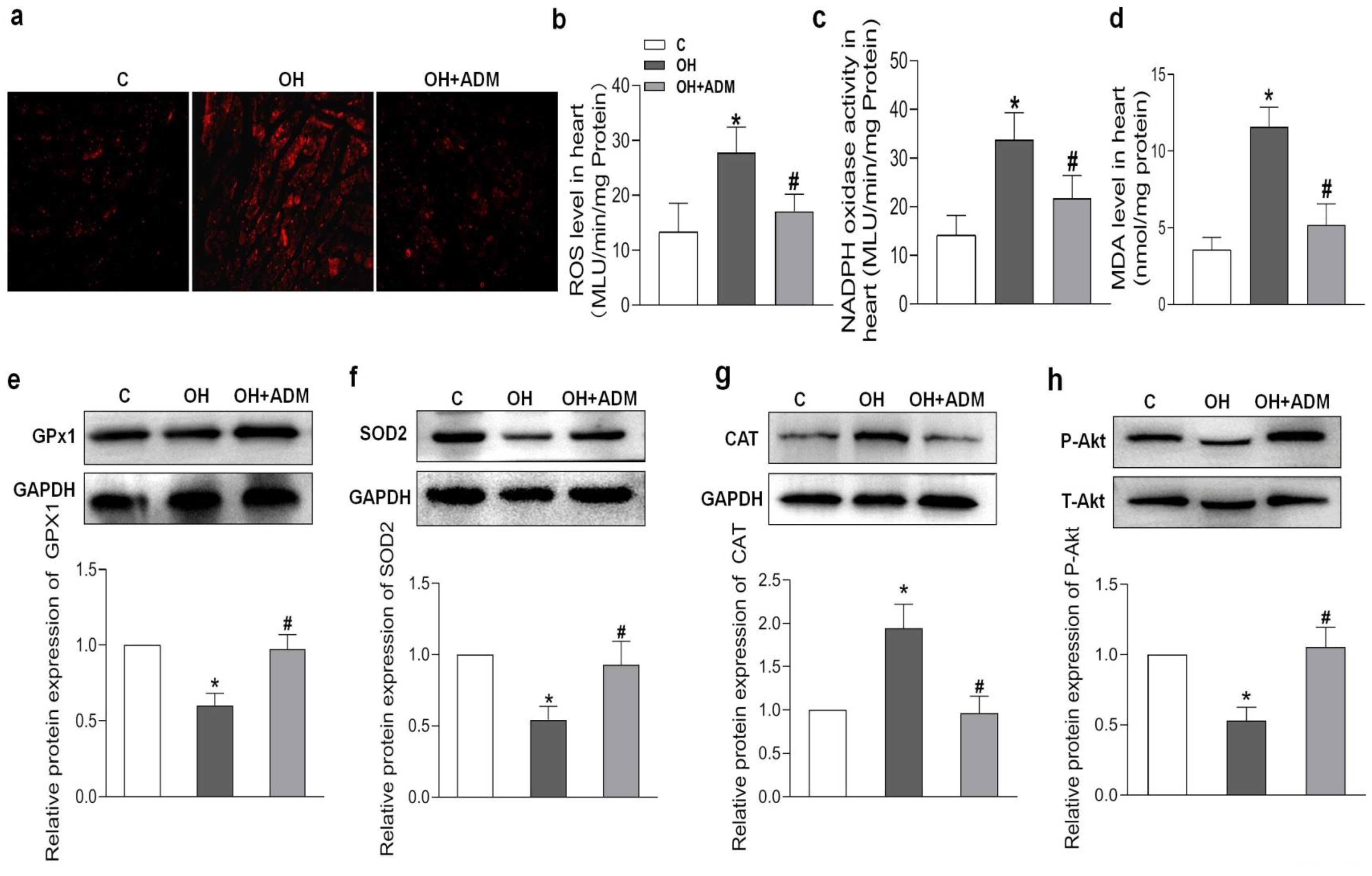 Pharmaceuticals 15 00719 g005