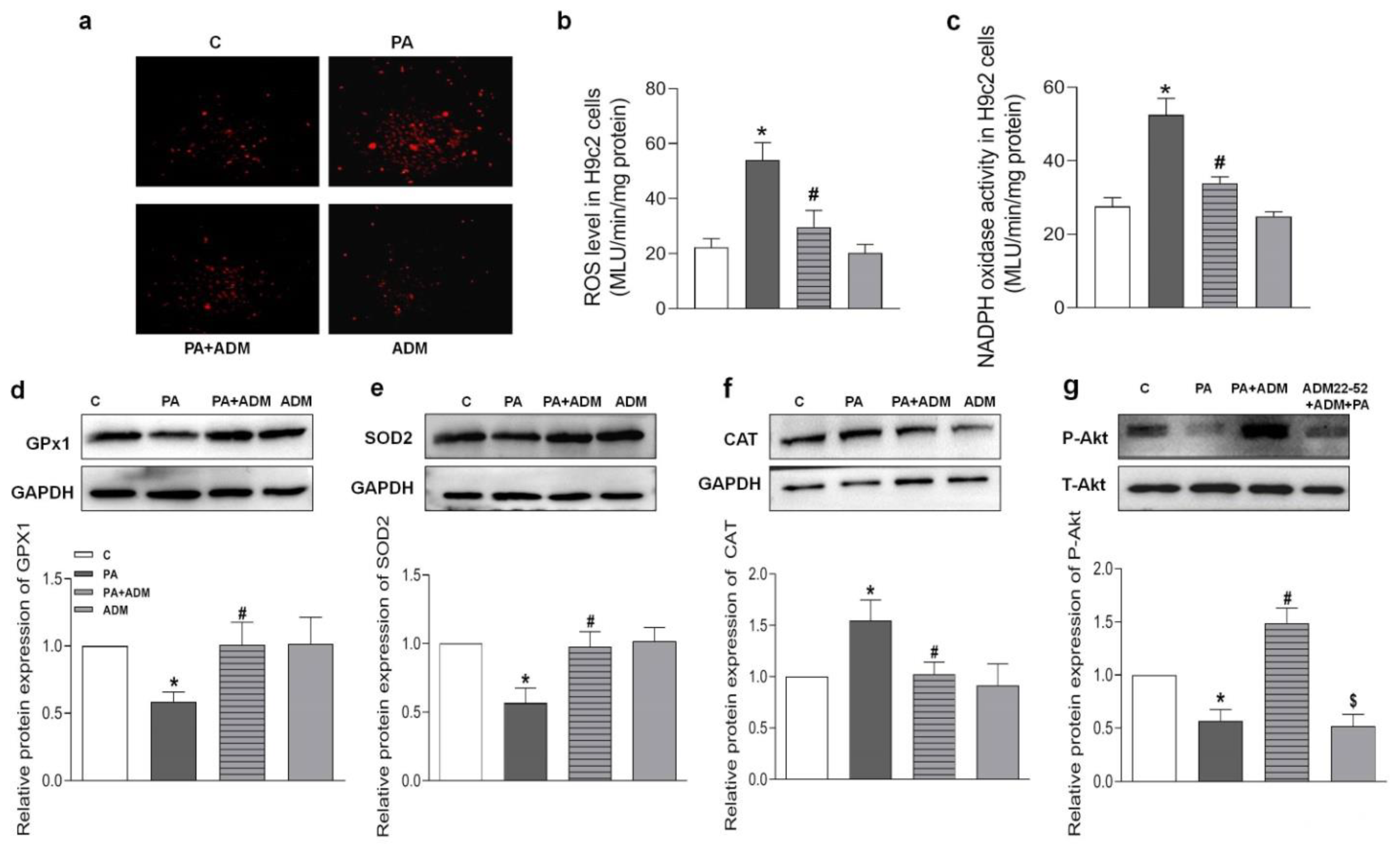 Pharmaceuticals 15 00719 g007