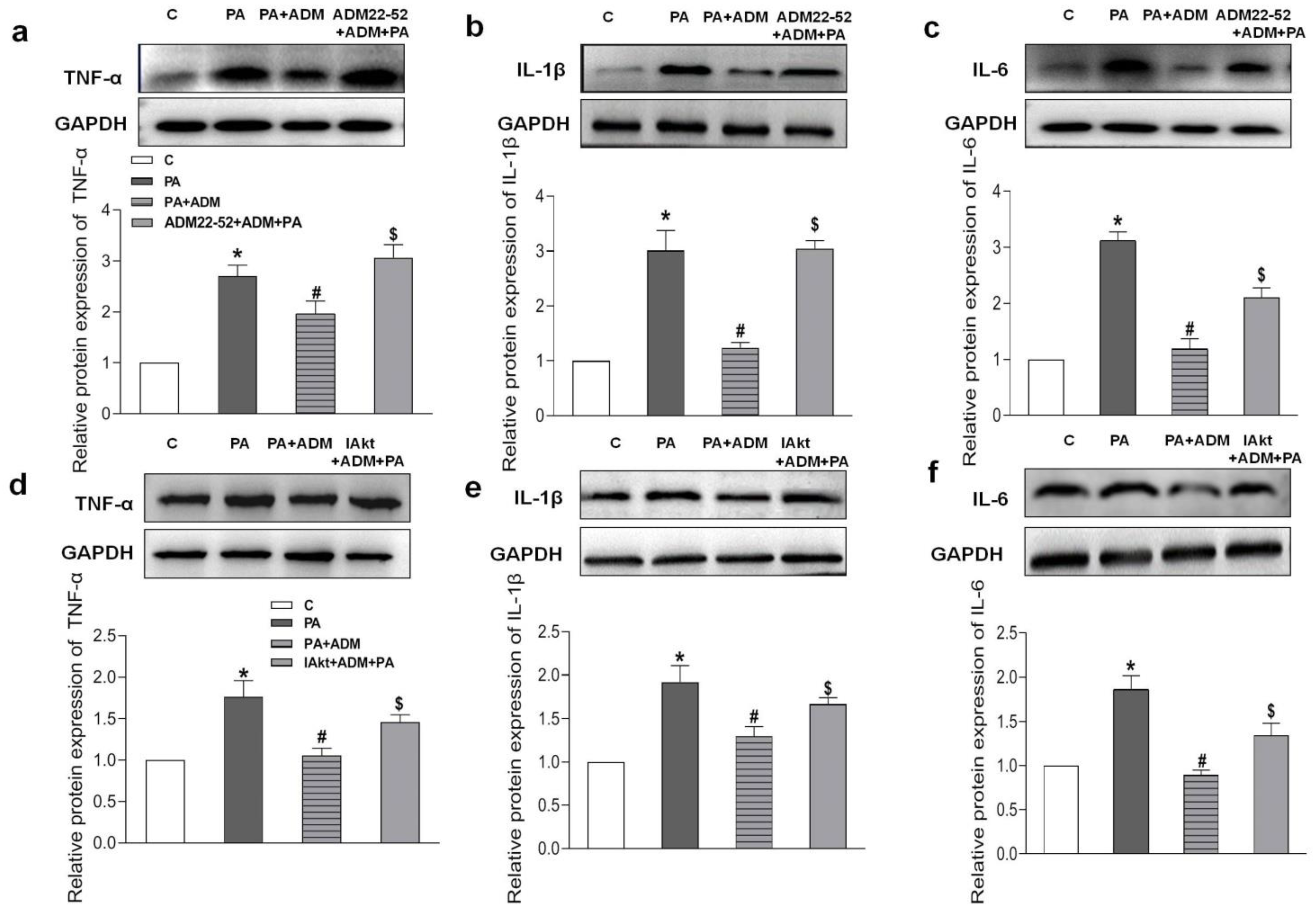 Pharmaceuticals 15 00719 g008