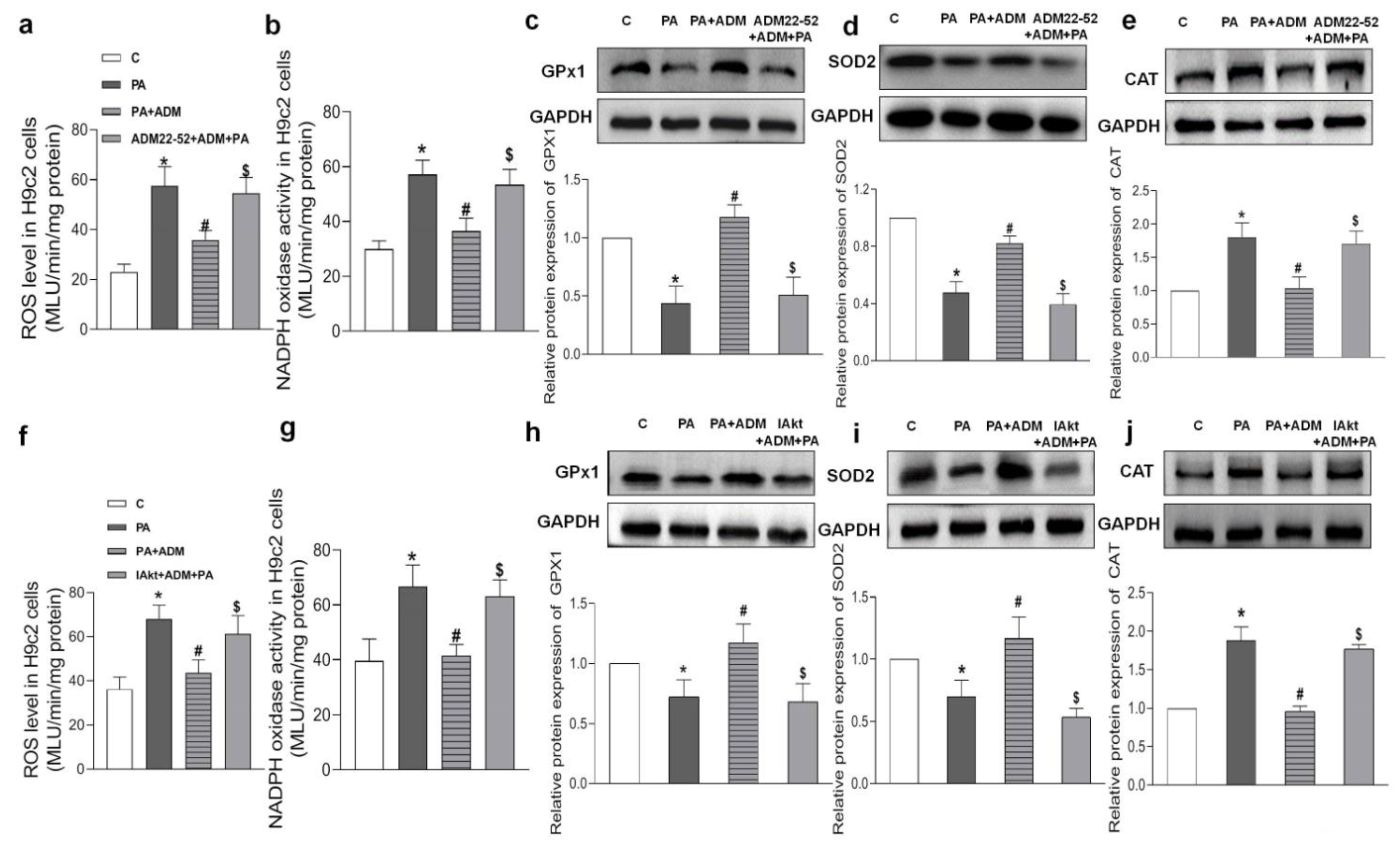 Pharmaceuticals 15 00719 g009