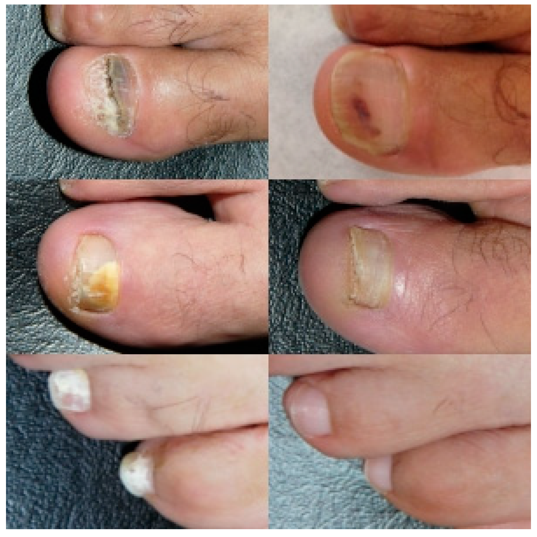 Pharmaceuticals 15 00722 g001