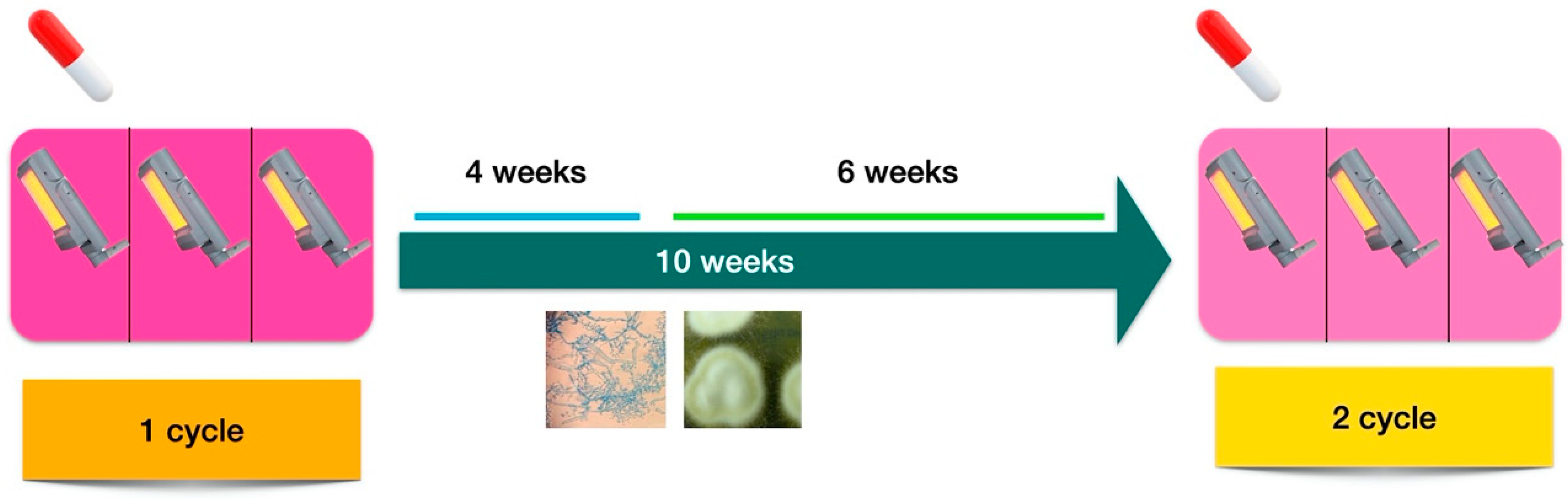Pharmaceuticals 15 00722 g002