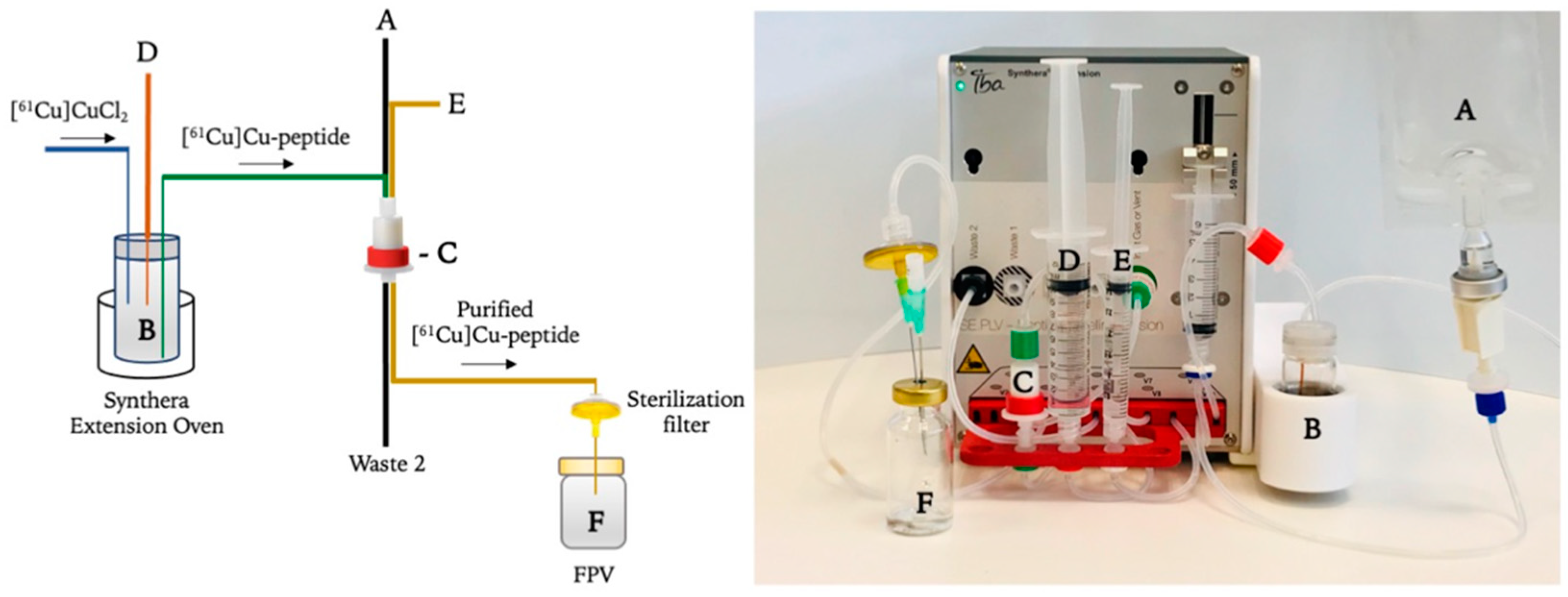 Pharmaceuticals 15 00723 g005