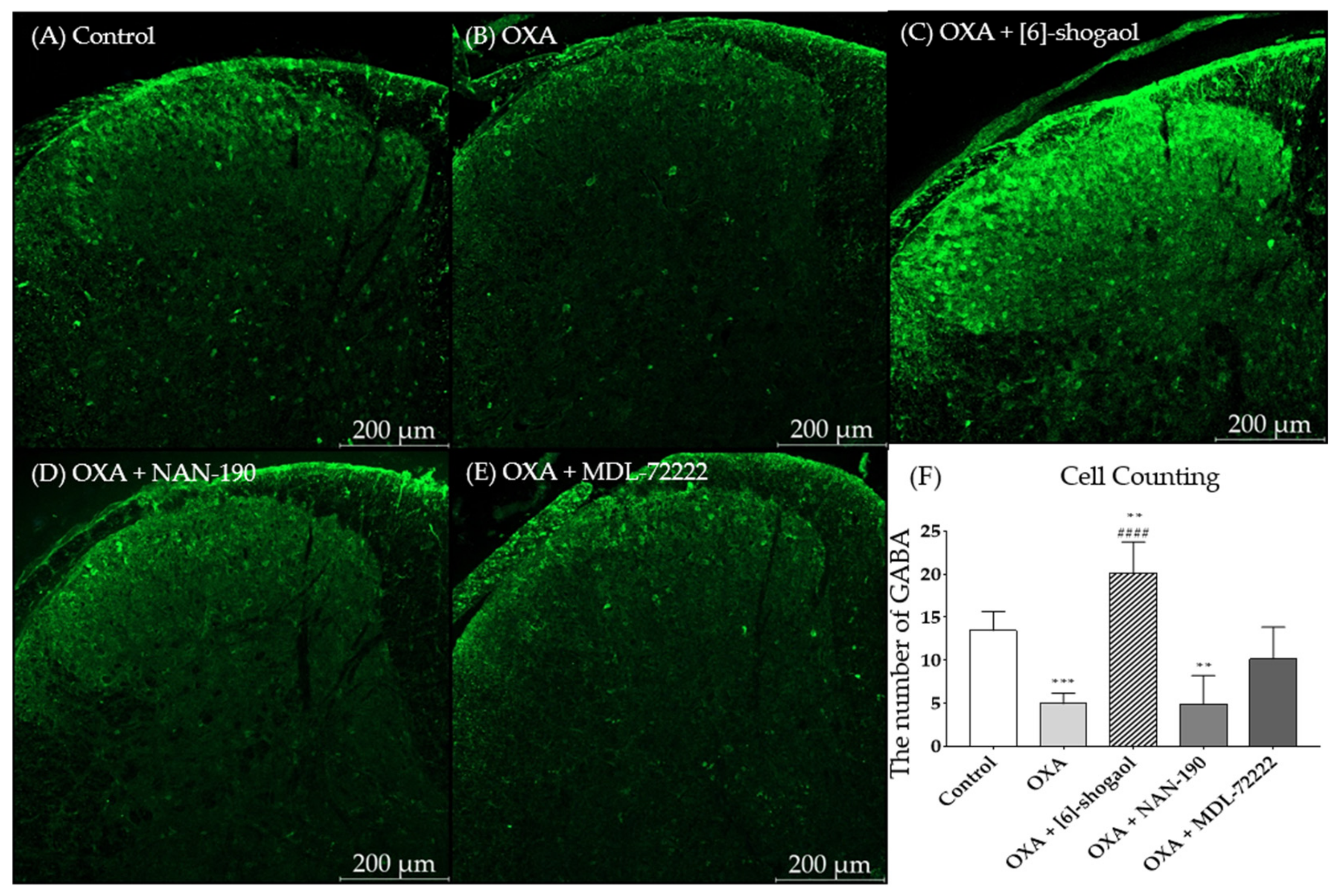 Pharmaceuticals 15 00726 g005 Pharmaceuticals 15 00726 g005