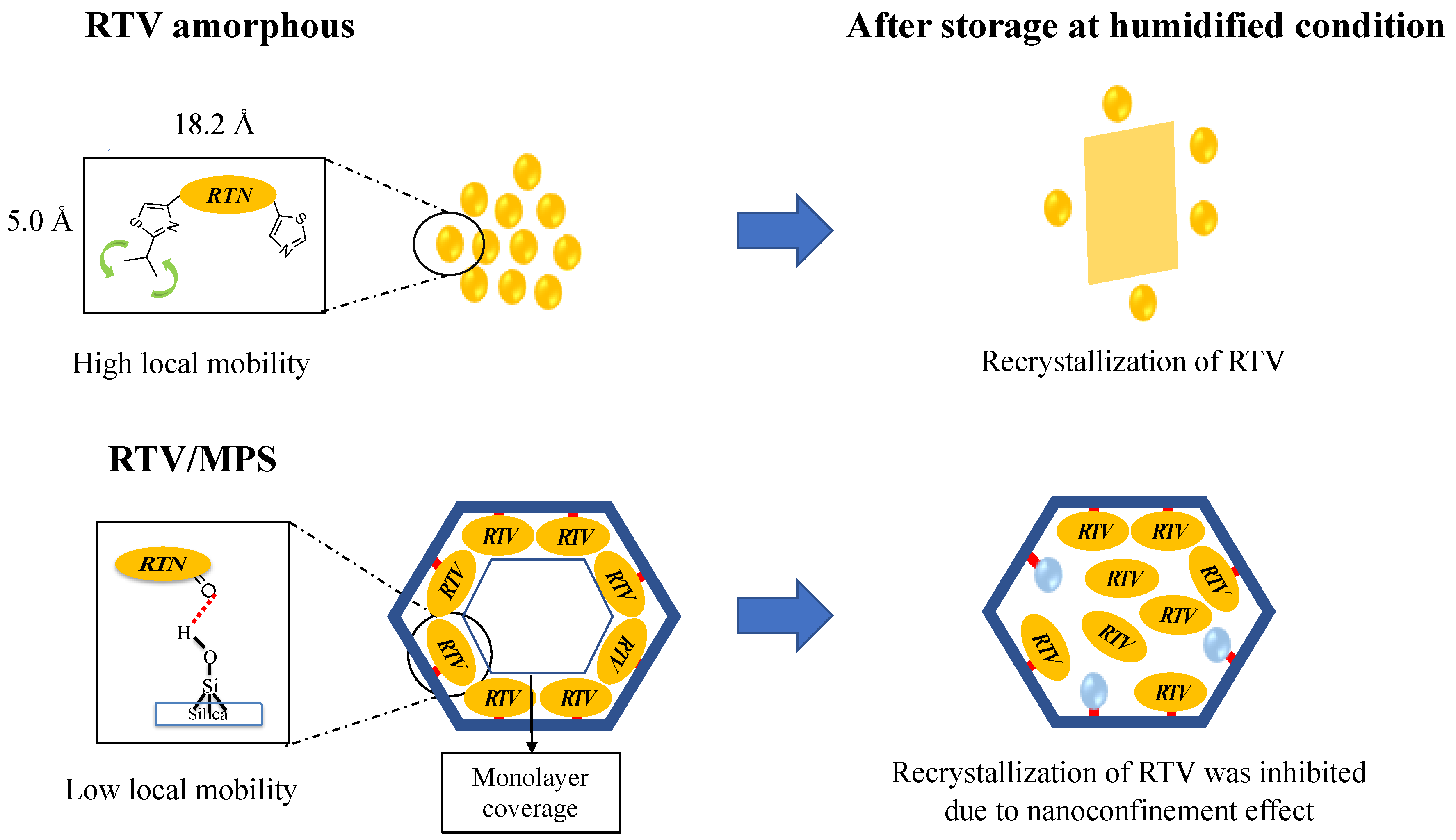 Pharmaceuticals 15 00730 g012