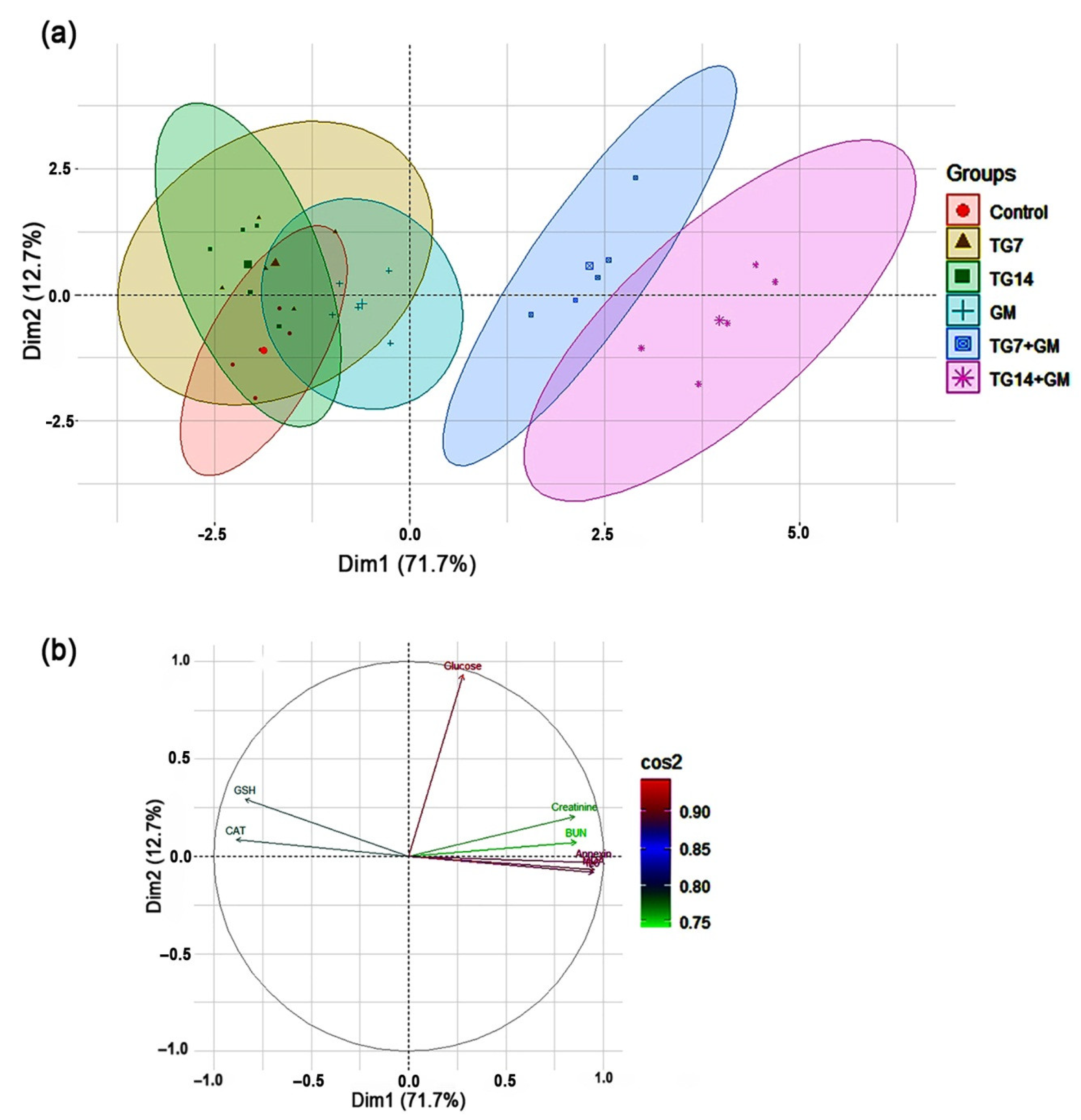 Pharmaceuticals 15 00736 g006