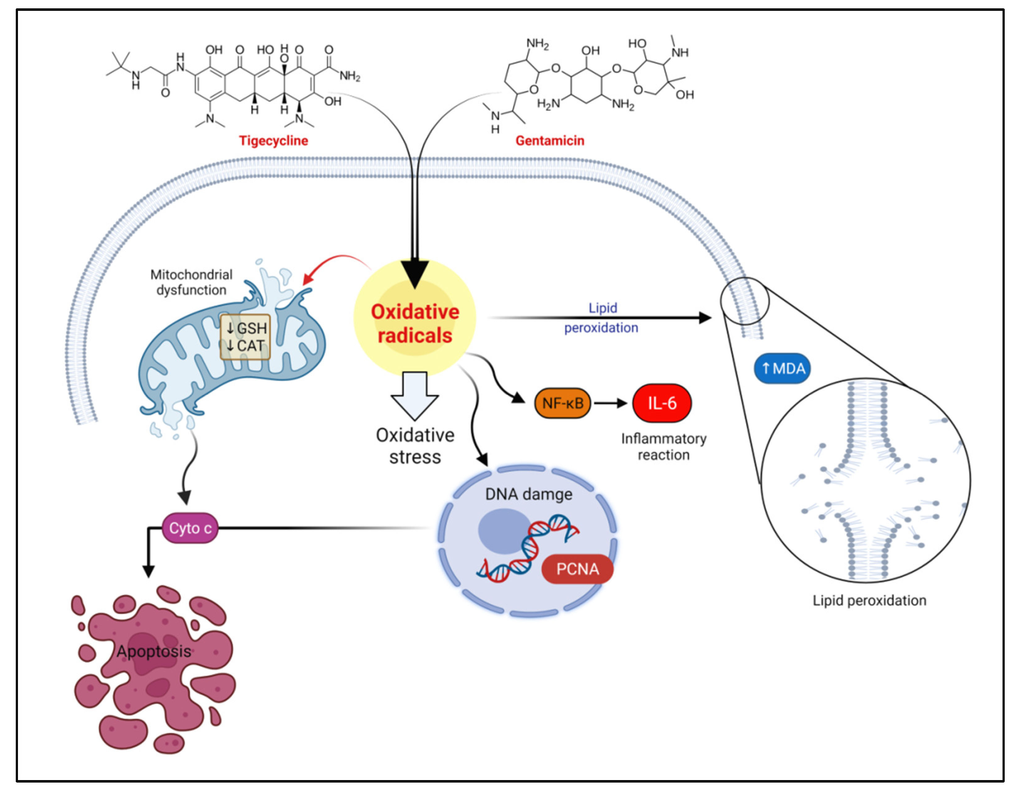 Pharmaceuticals 15 00736 g007