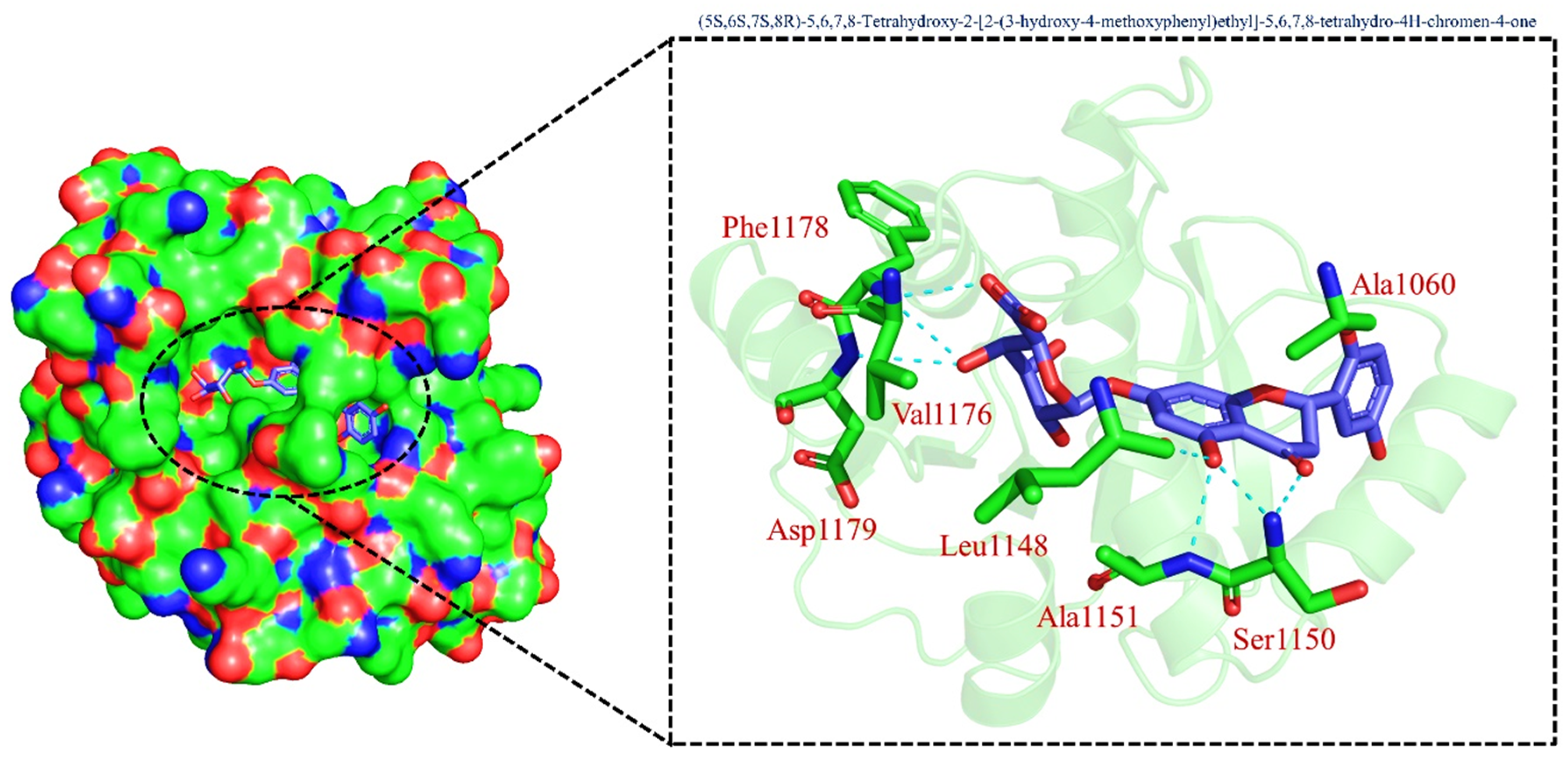 Pharmaceuticals 15 00741 g004