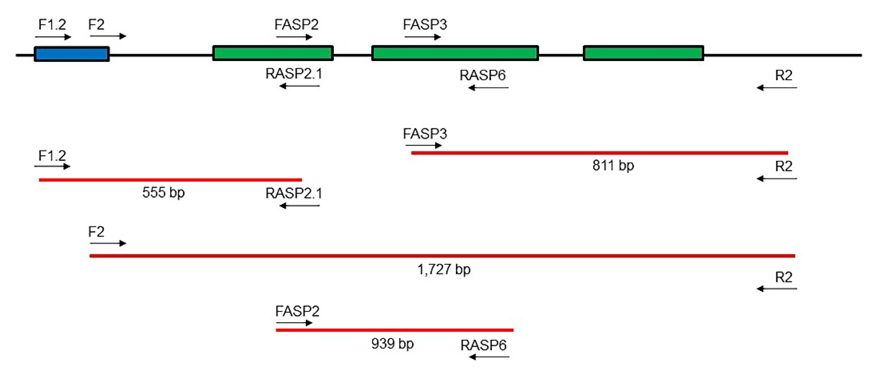 Pharmaceuticals 15 00746 g005