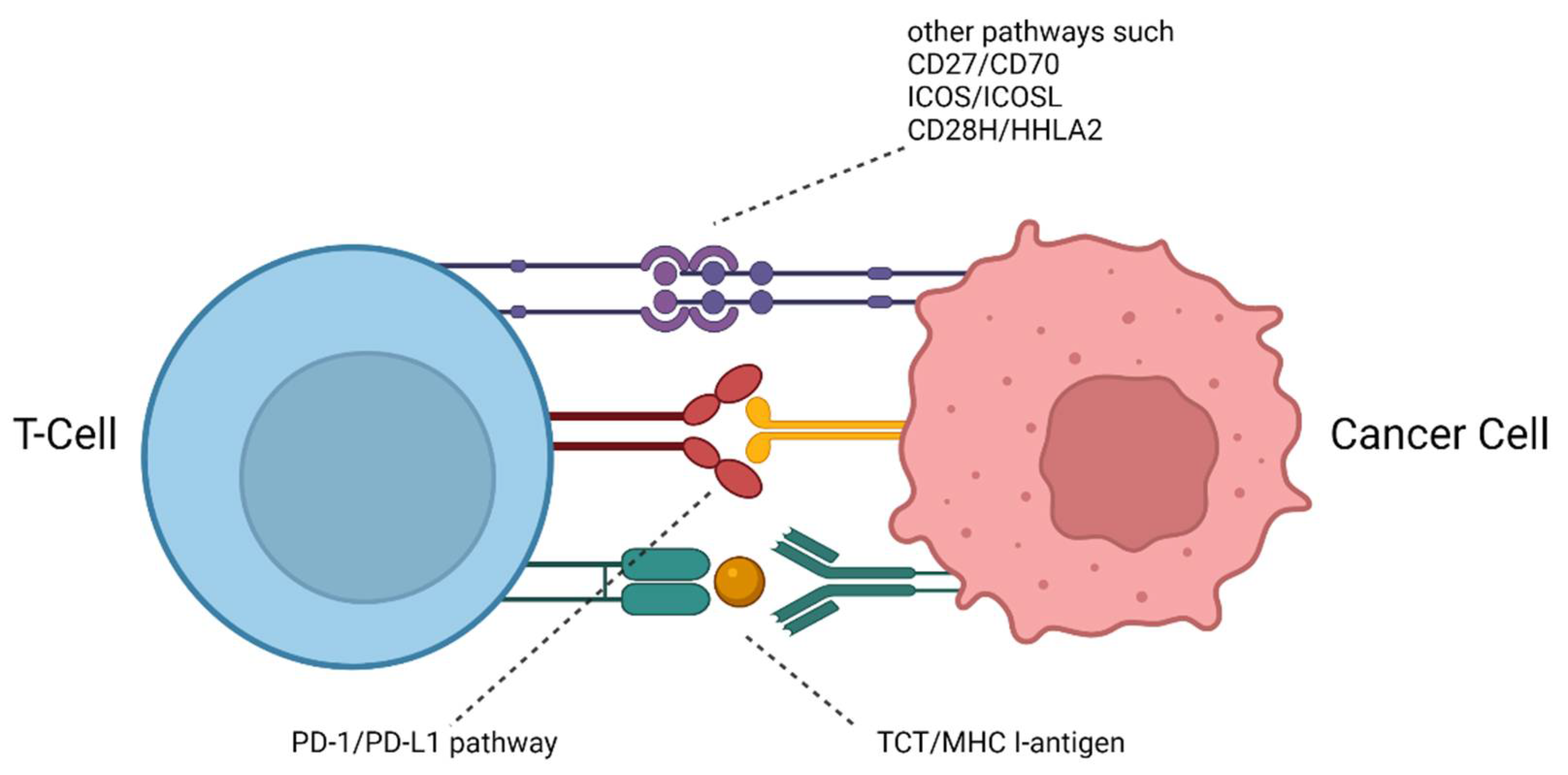 Pharmaceuticals 15 00747 g001