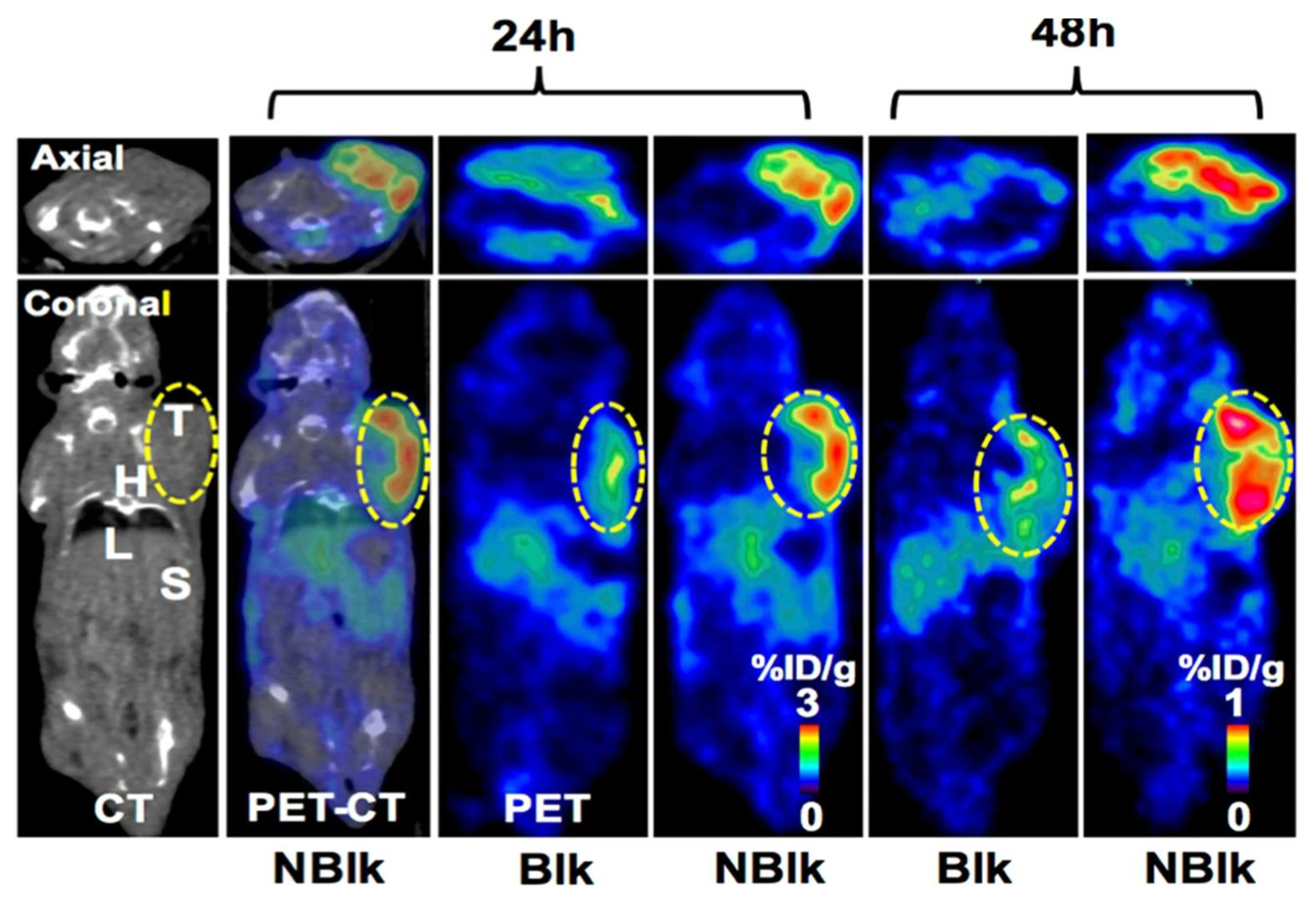 Pharmaceuticals 15 00747 g002
