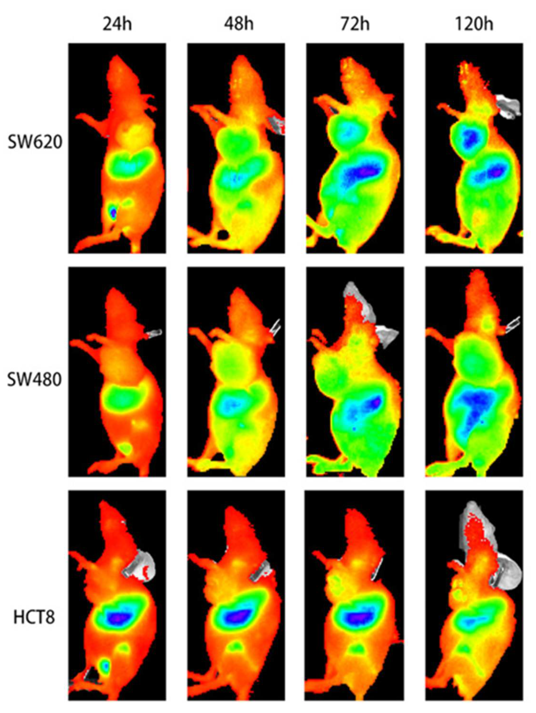 Pharmaceuticals 15 00747 g005