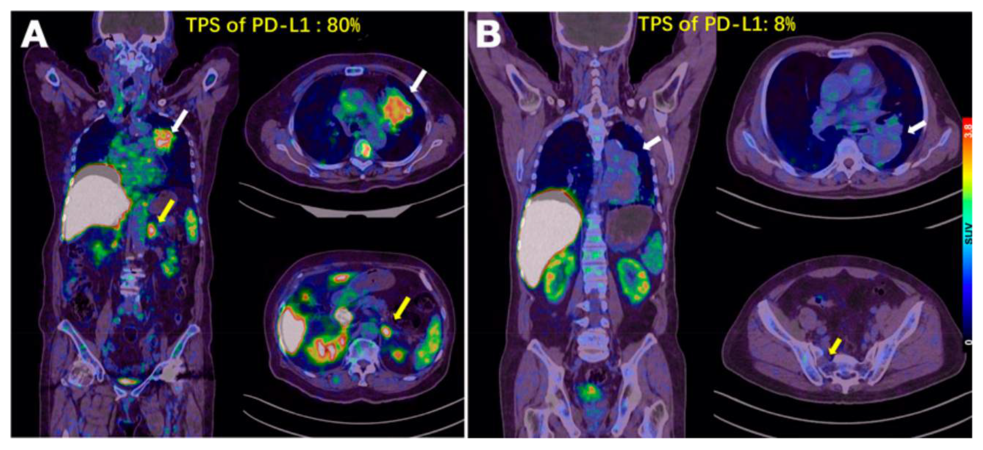 Pharmaceuticals 15 00747 g009