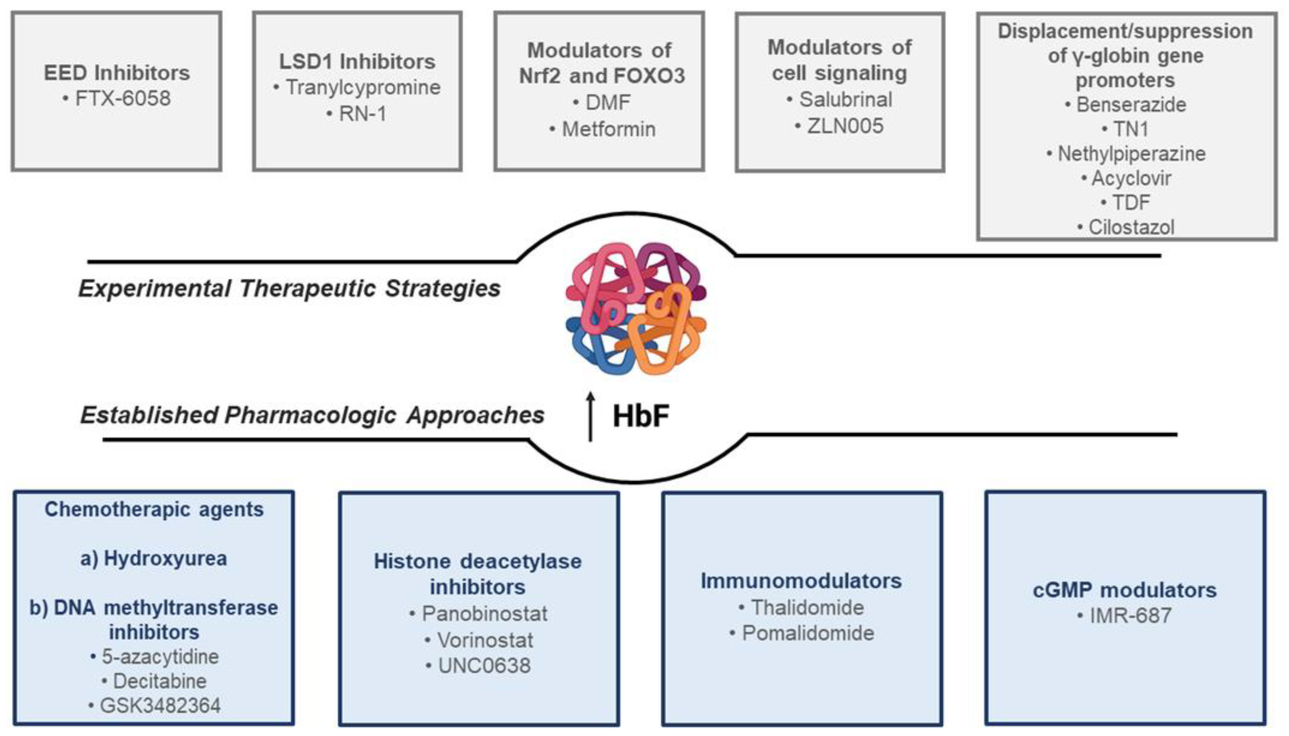 Pharmaceuticals 15 00753 g001