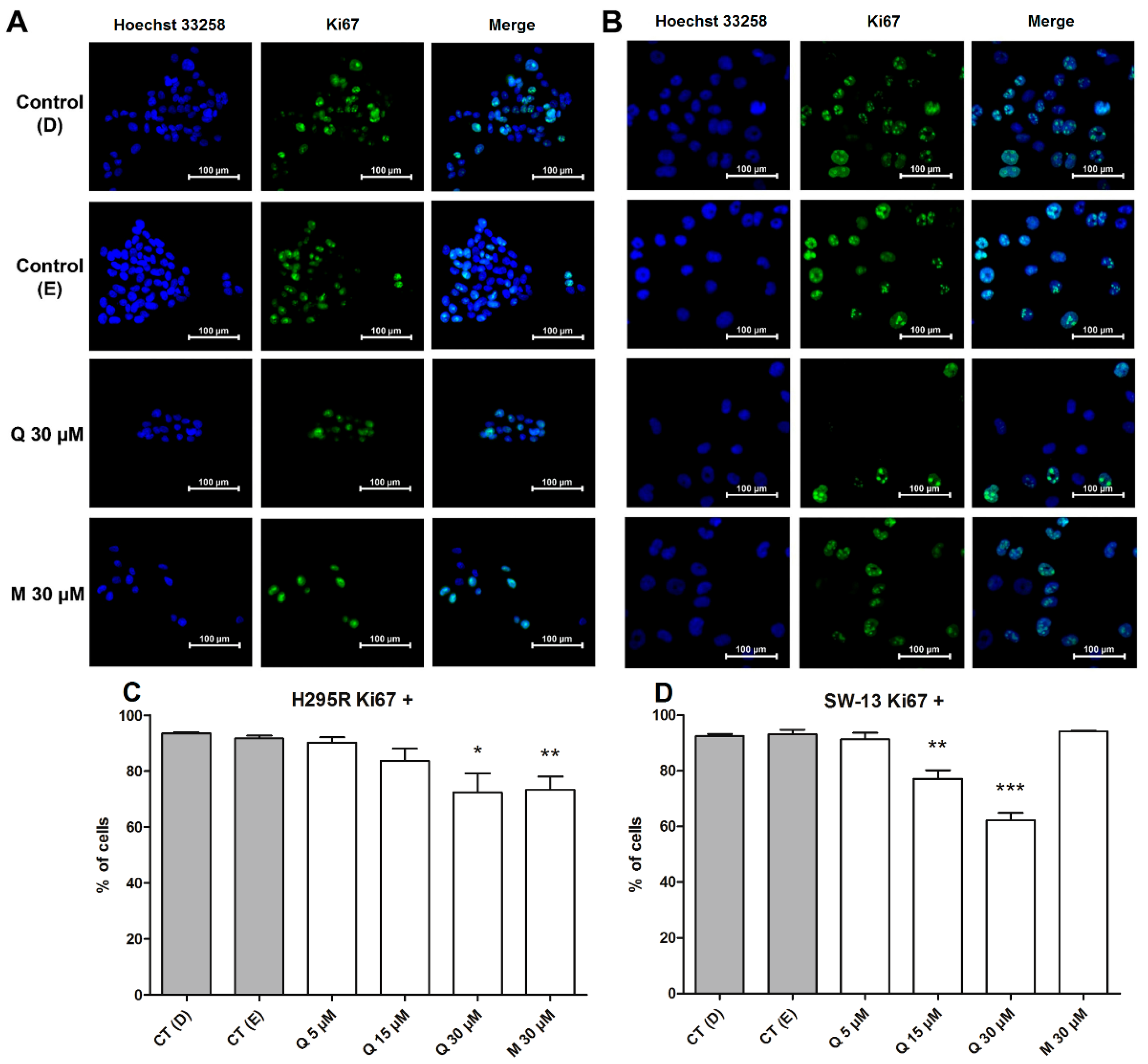 Pharmaceuticals 15 00754 g006