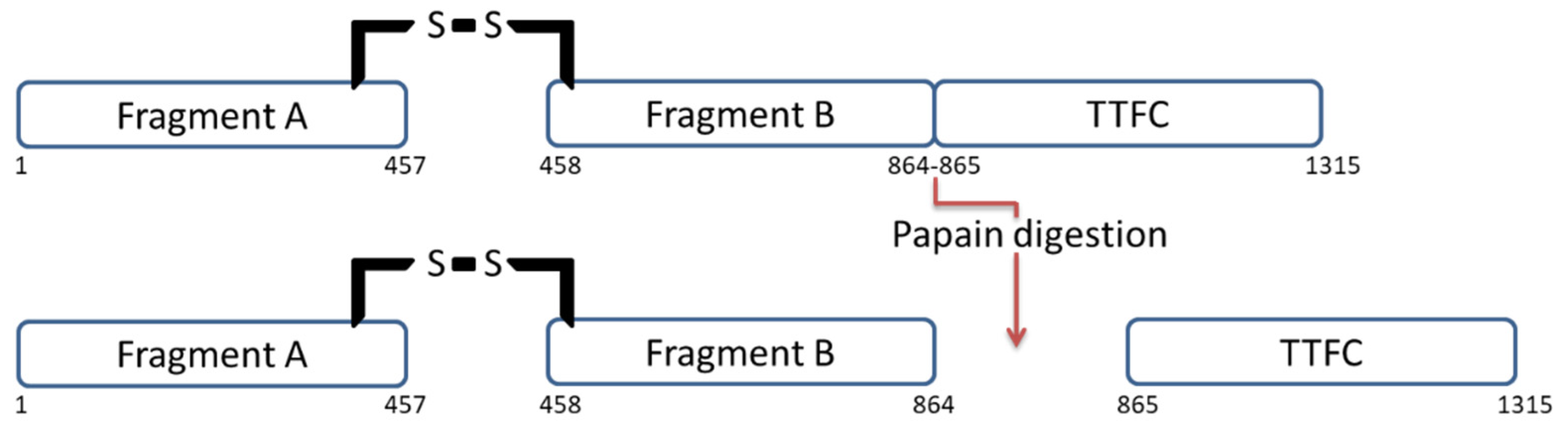 Pharmaceuticals 15 00756 g001