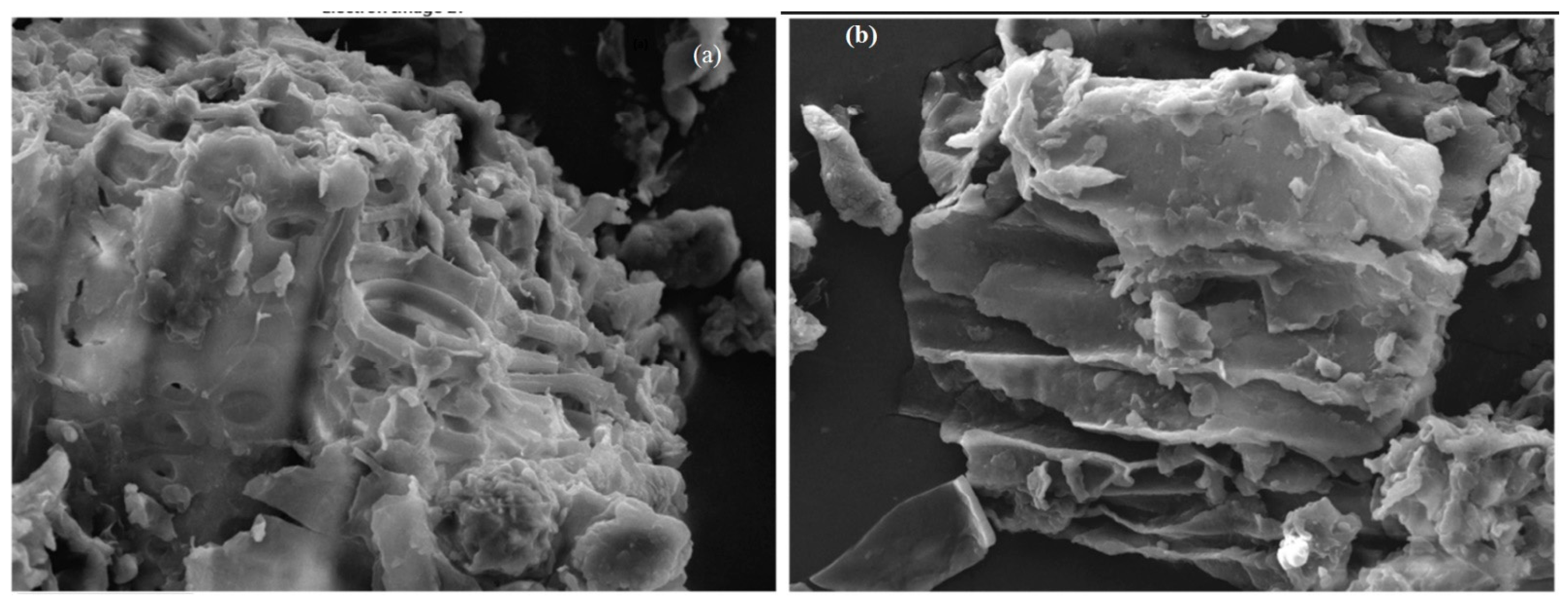 Pharmaceuticals 15 00760 g003