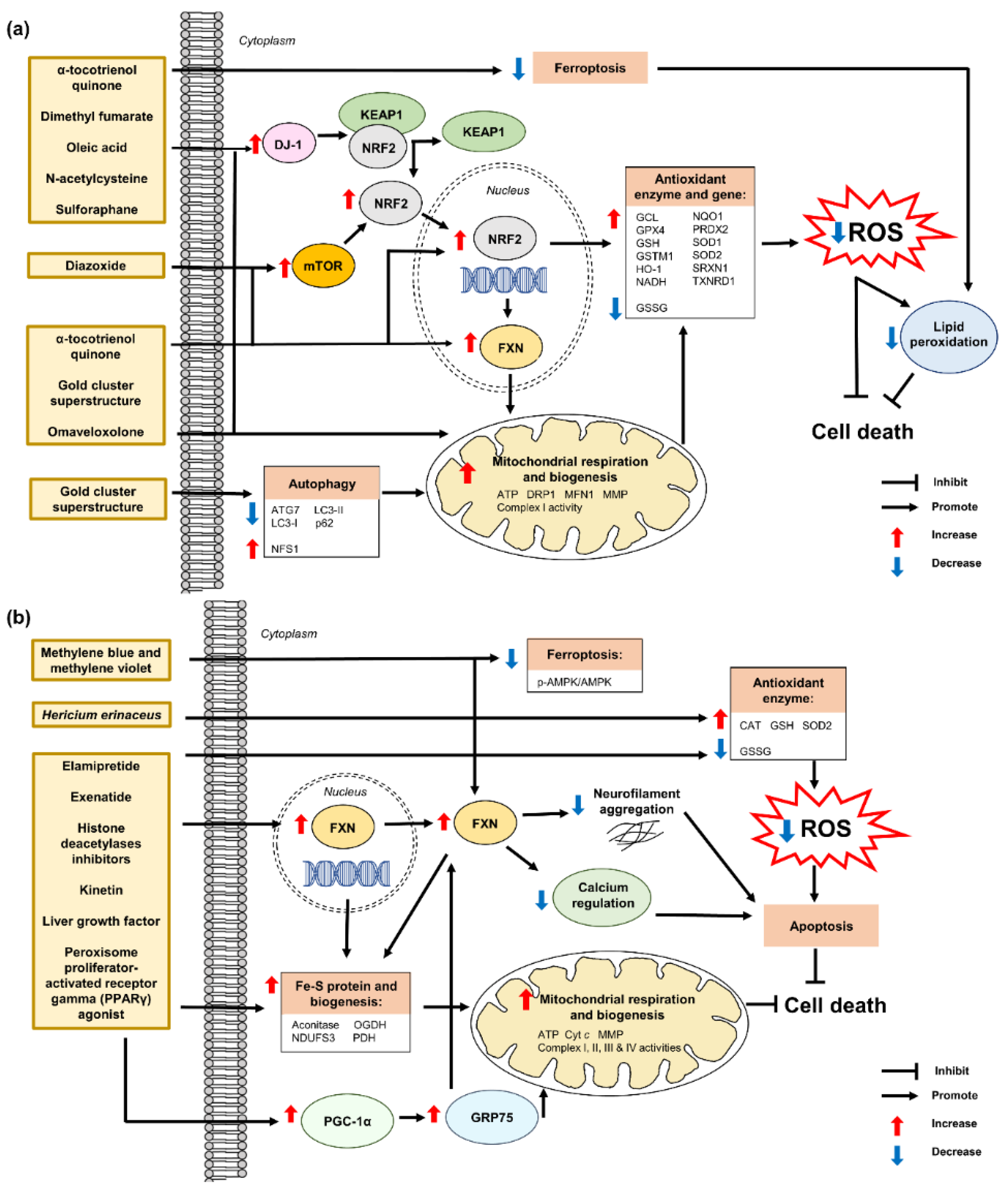 Pharmaceuticals 15 00764 g008