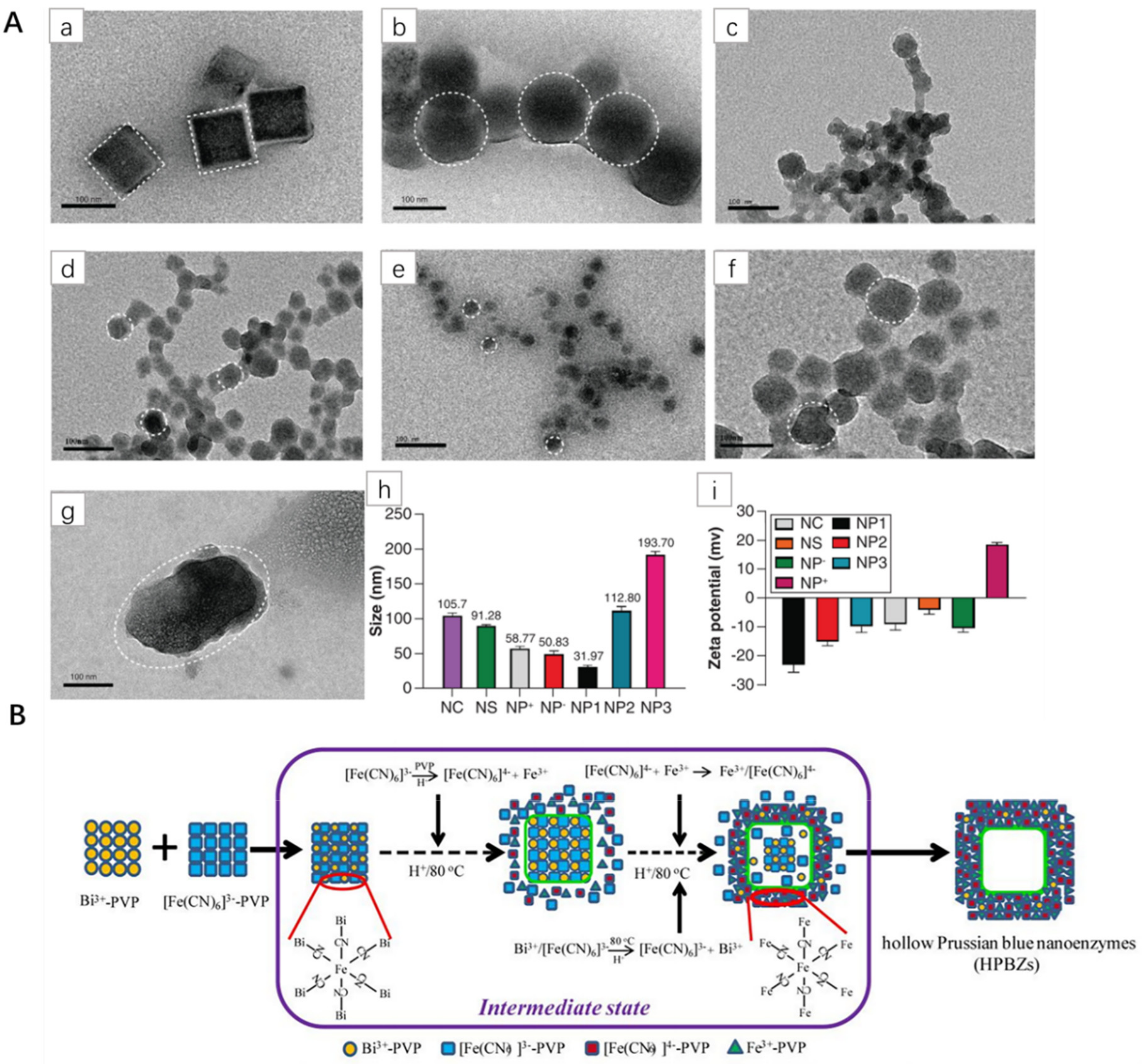 Pharmaceuticals 15 00769 g003