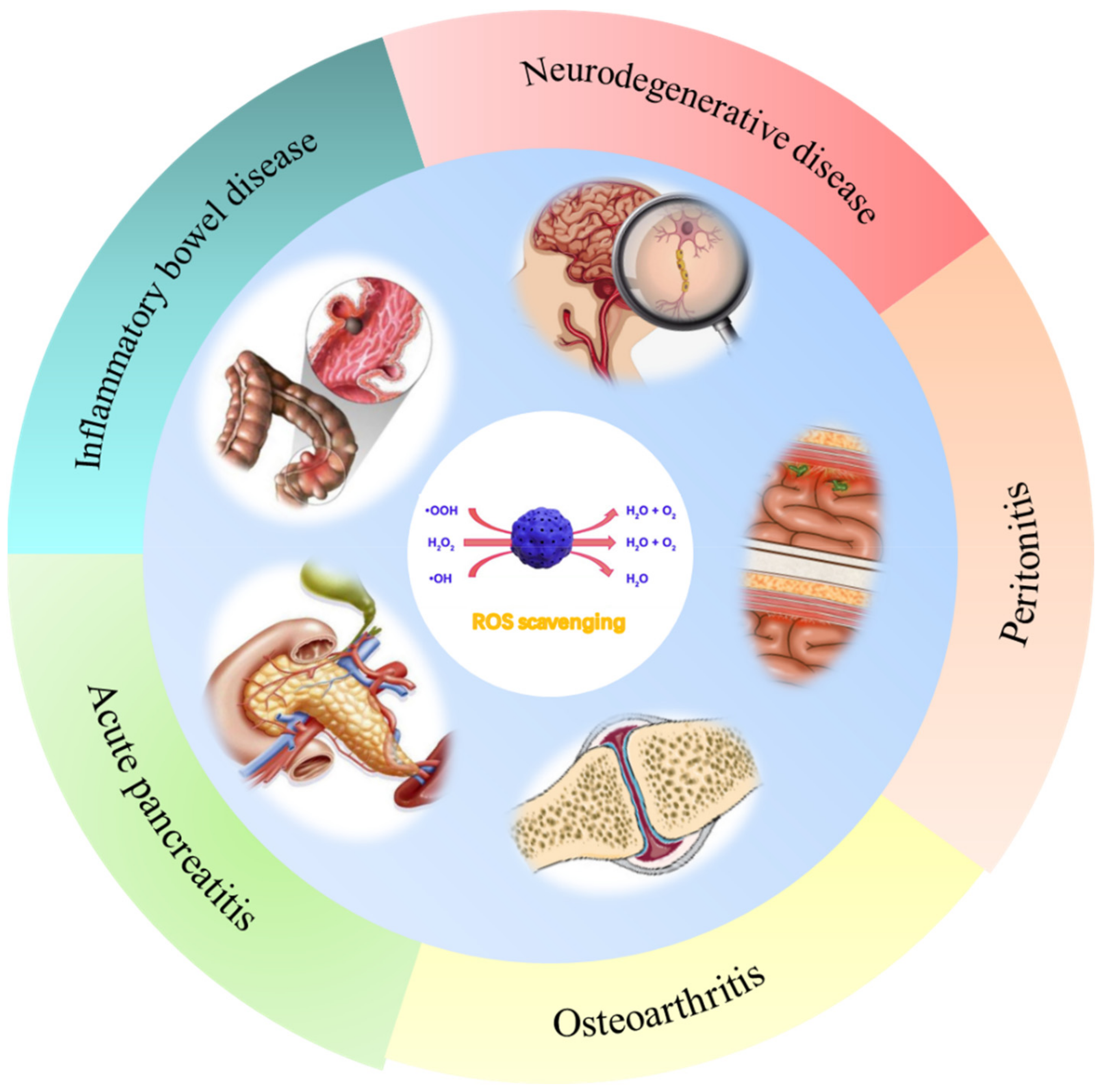 Pharmaceuticals 15 00769 g004