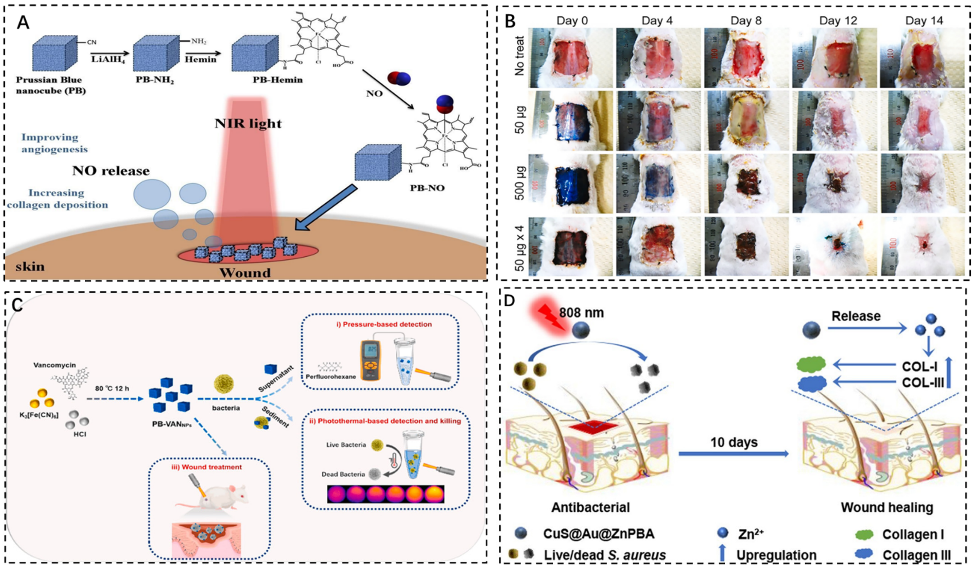 Pharmaceuticals 15 00769 g007