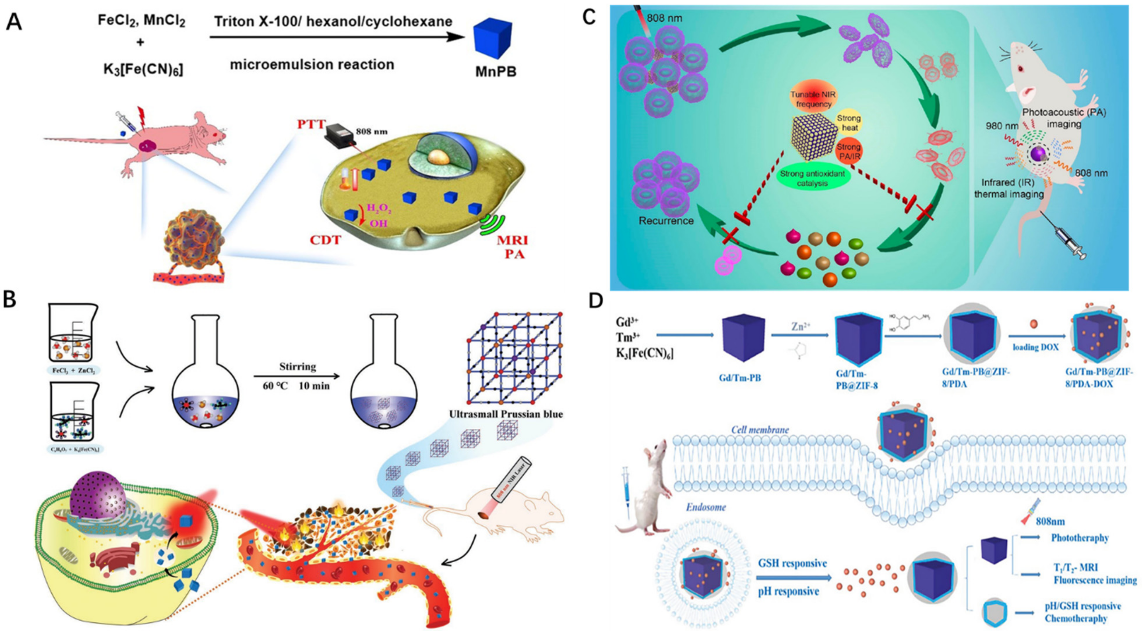 Pharmaceuticals 15 00769 g008