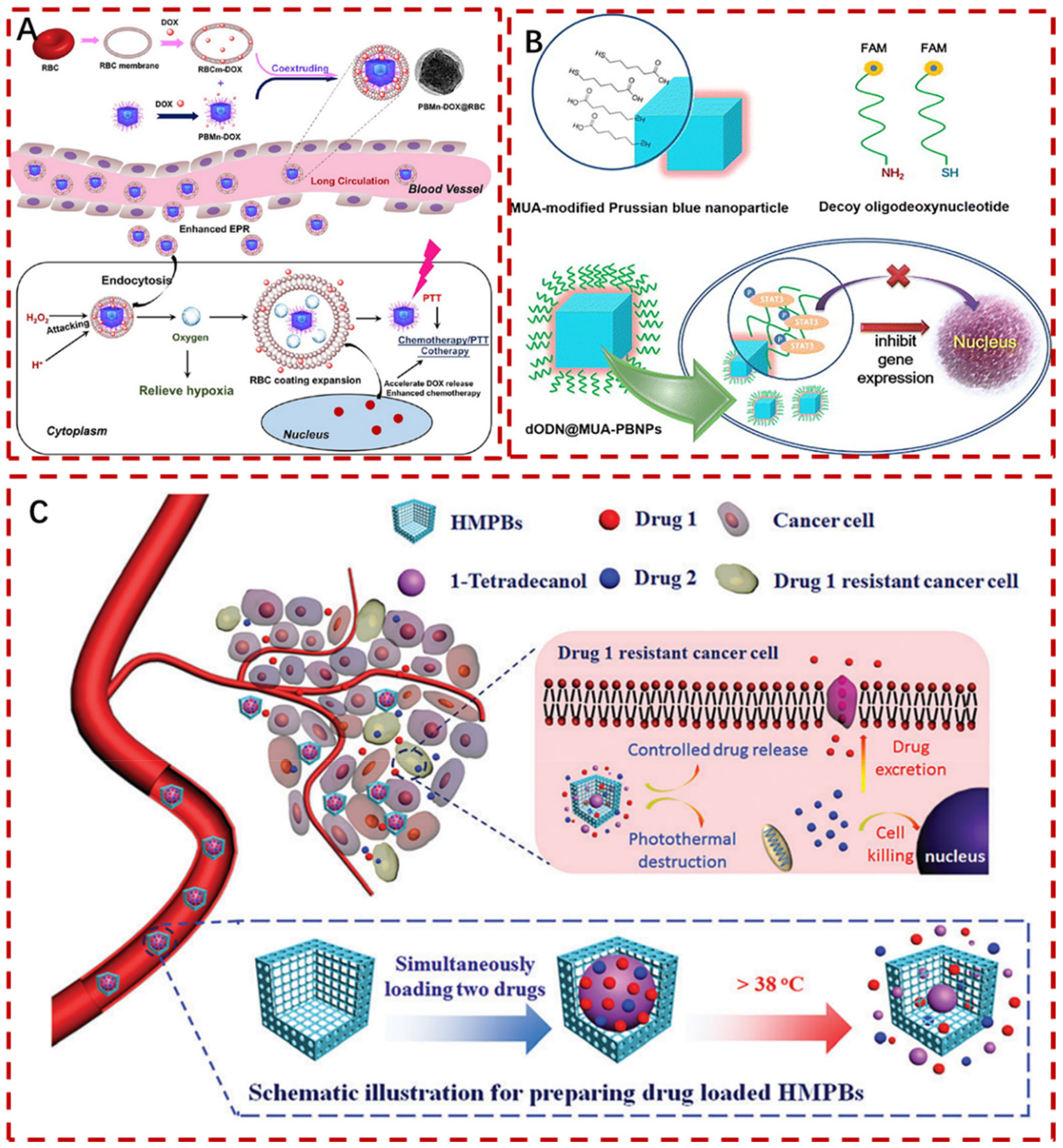Pharmaceuticals 15 00769 g009