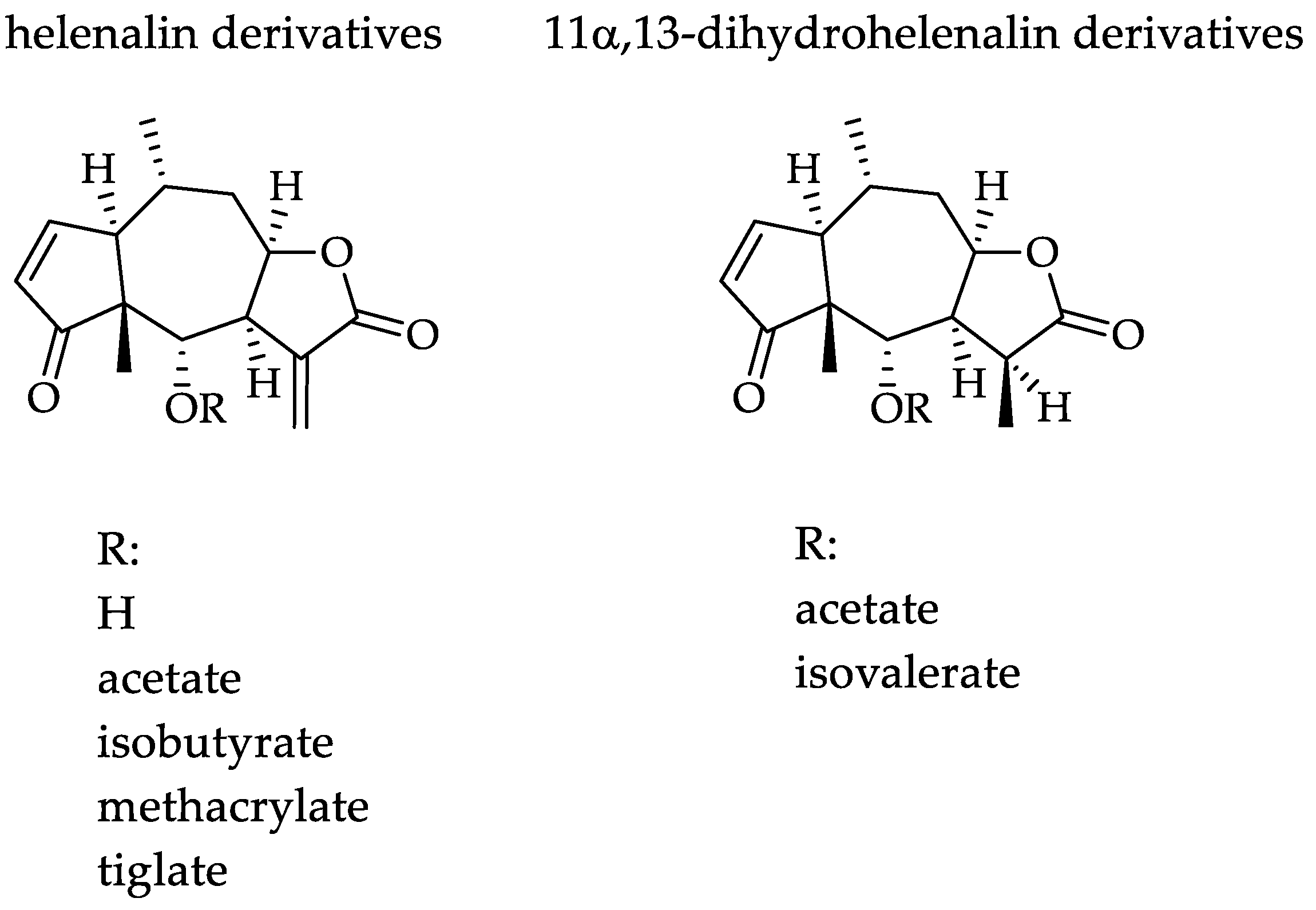 Pharmaceuticals 15 00776 g001