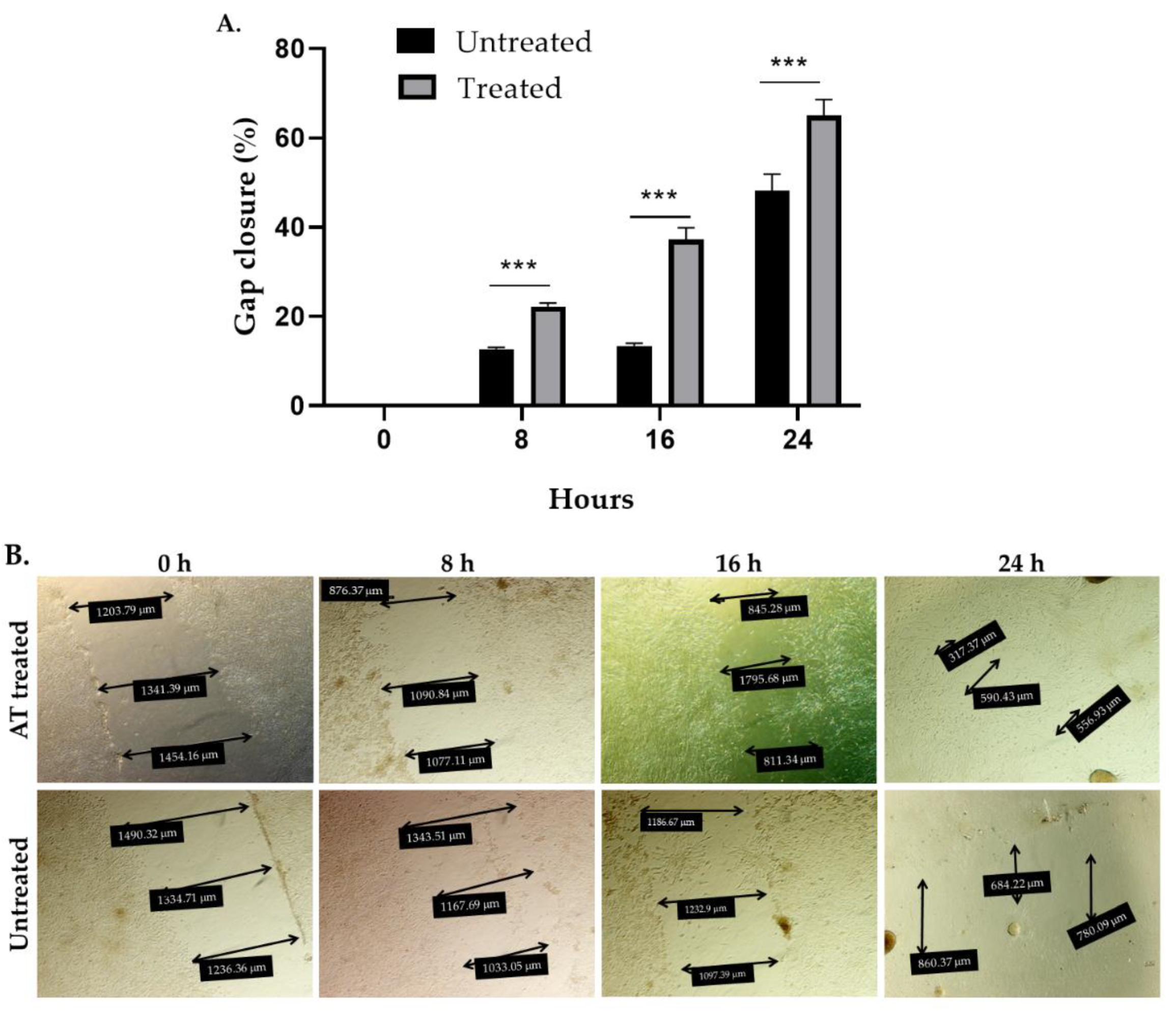 Pharmaceuticals 15 00776 g005