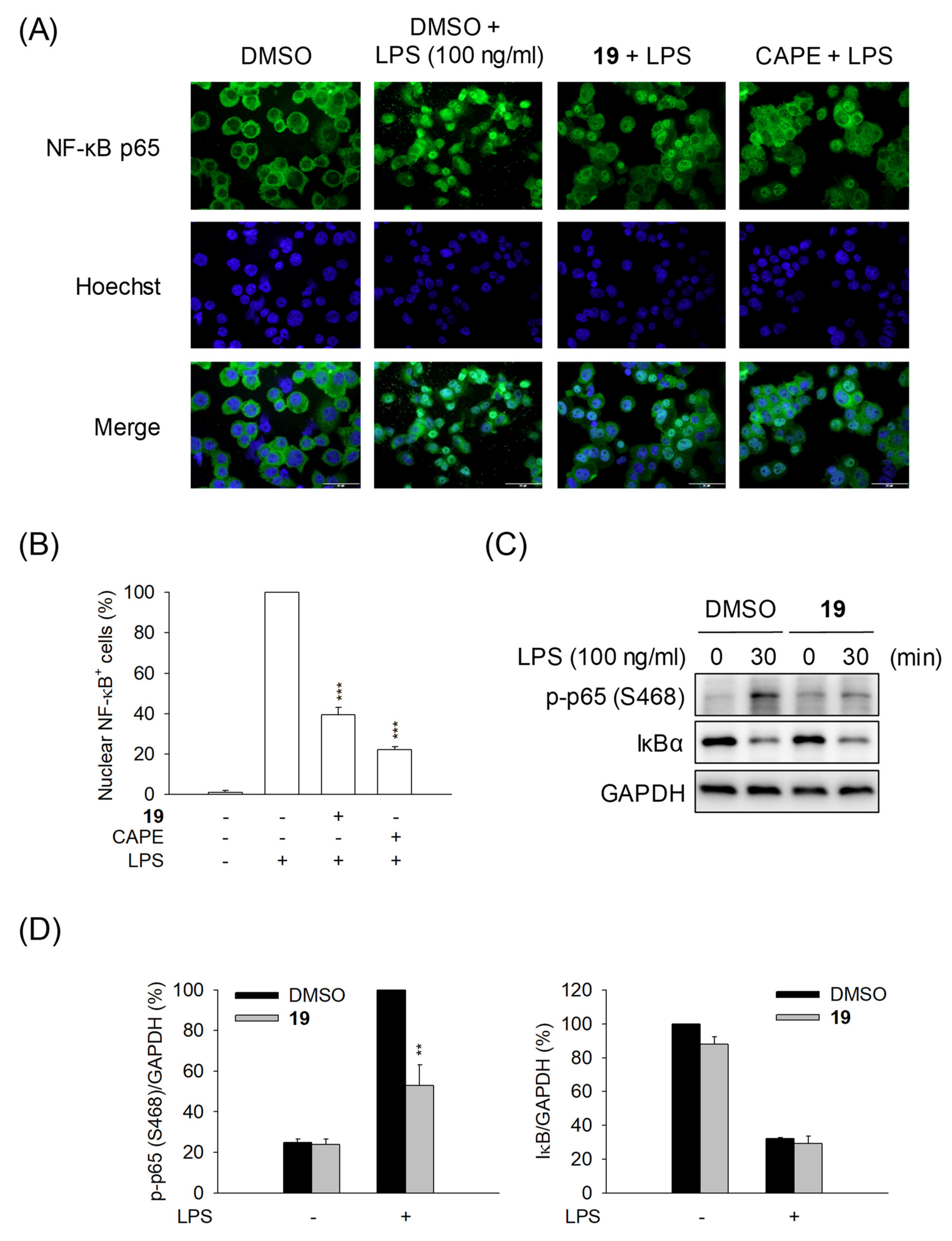 Pharmaceuticals 15 00778 g004