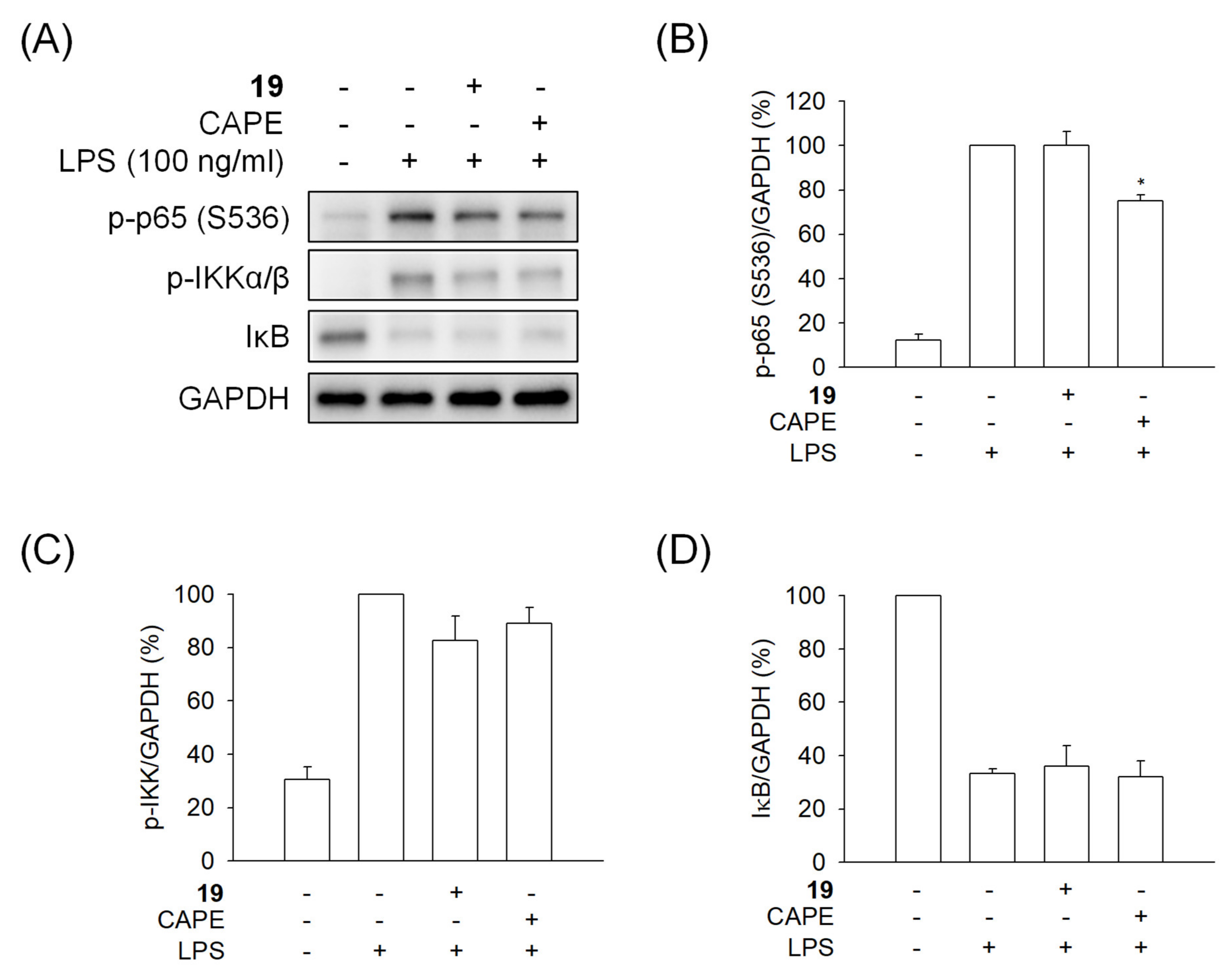 Pharmaceuticals 15 00778 g005