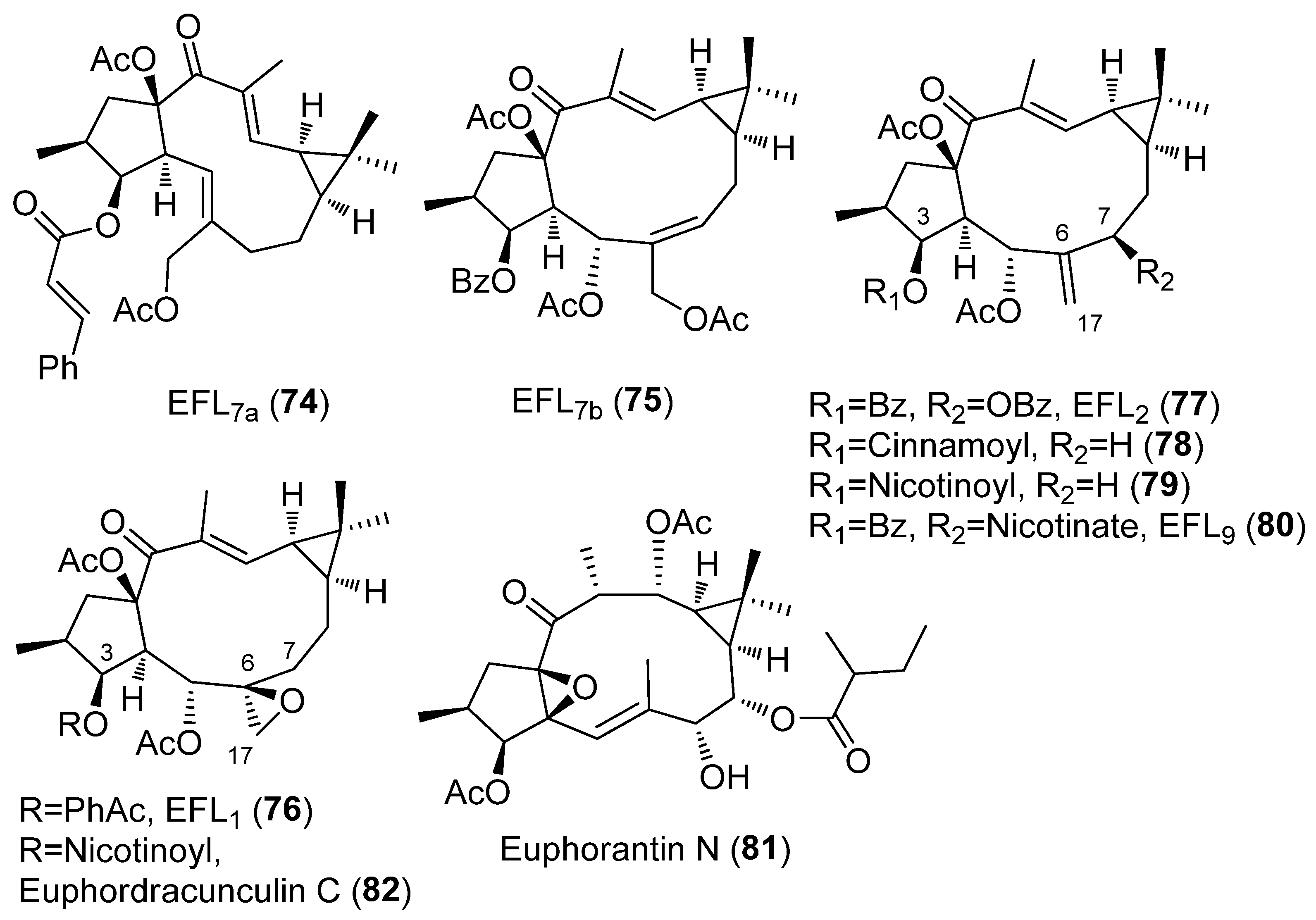 Pharmaceuticals 15 00780 g008