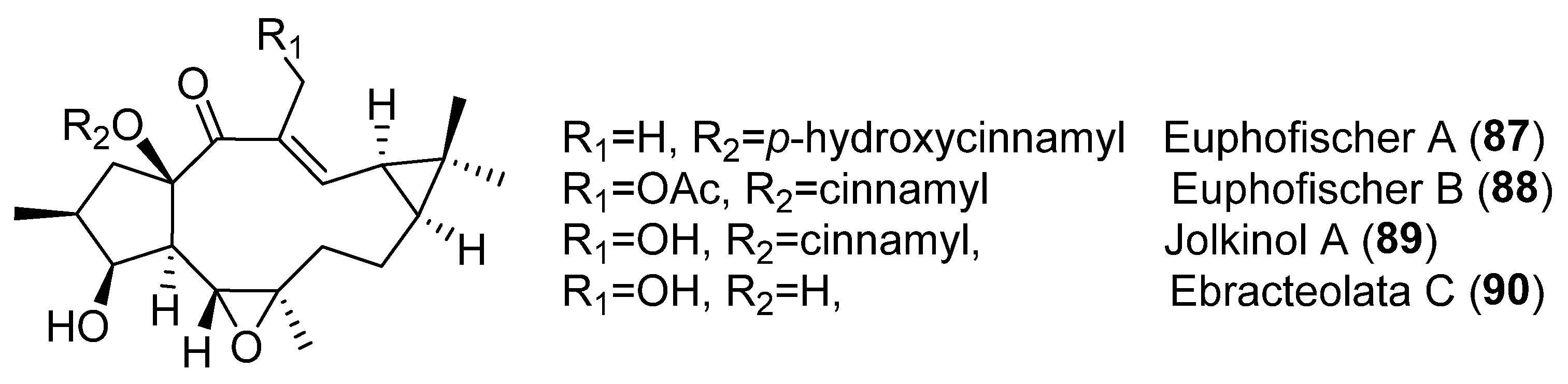 Pharmaceuticals 15 00780 g012